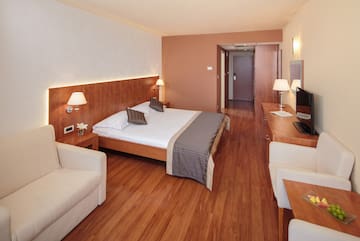 a room with a bed and a television