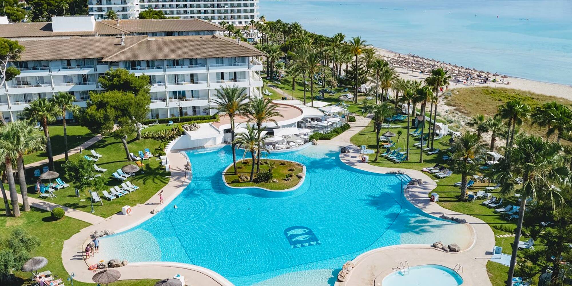 a swimming pool with palm trees and a beach