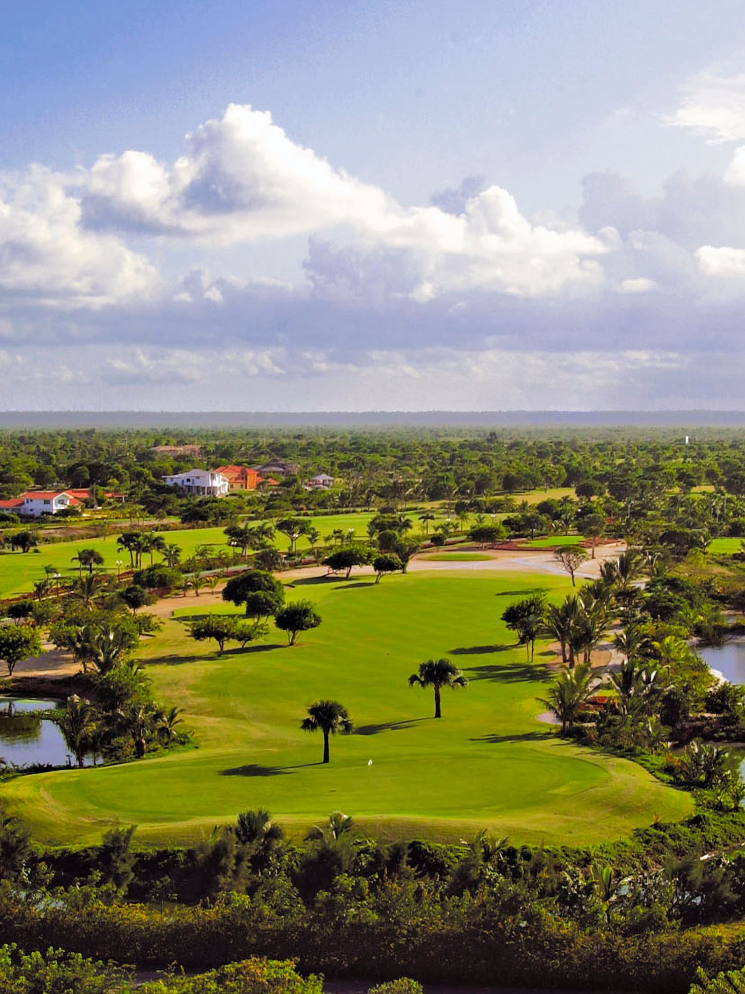 a golf course with water and trees