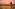a man standing in a field looking at the sunset