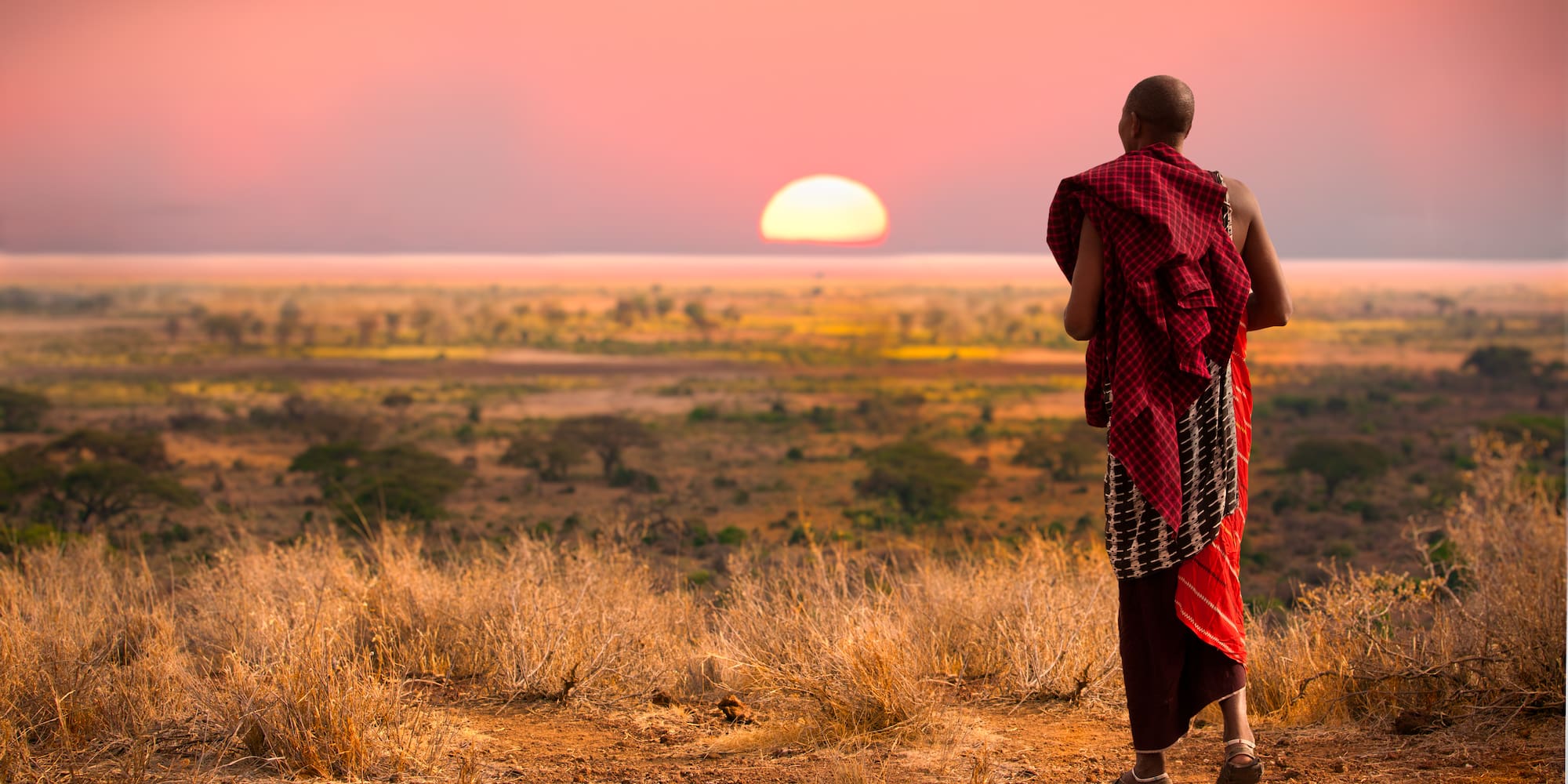 a man standing in a field looking at the sunset