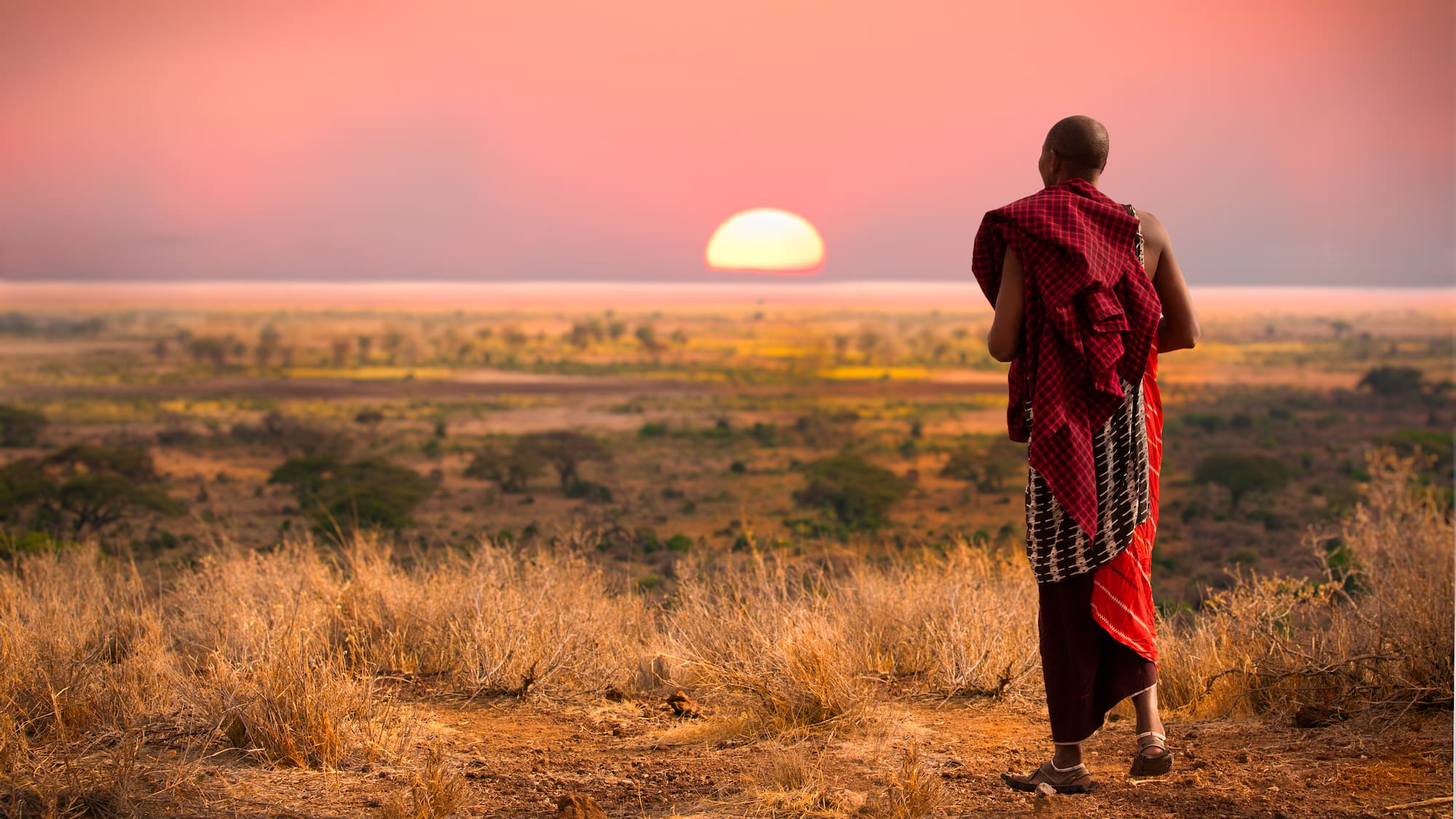 a man standing in a field looking at the sunset