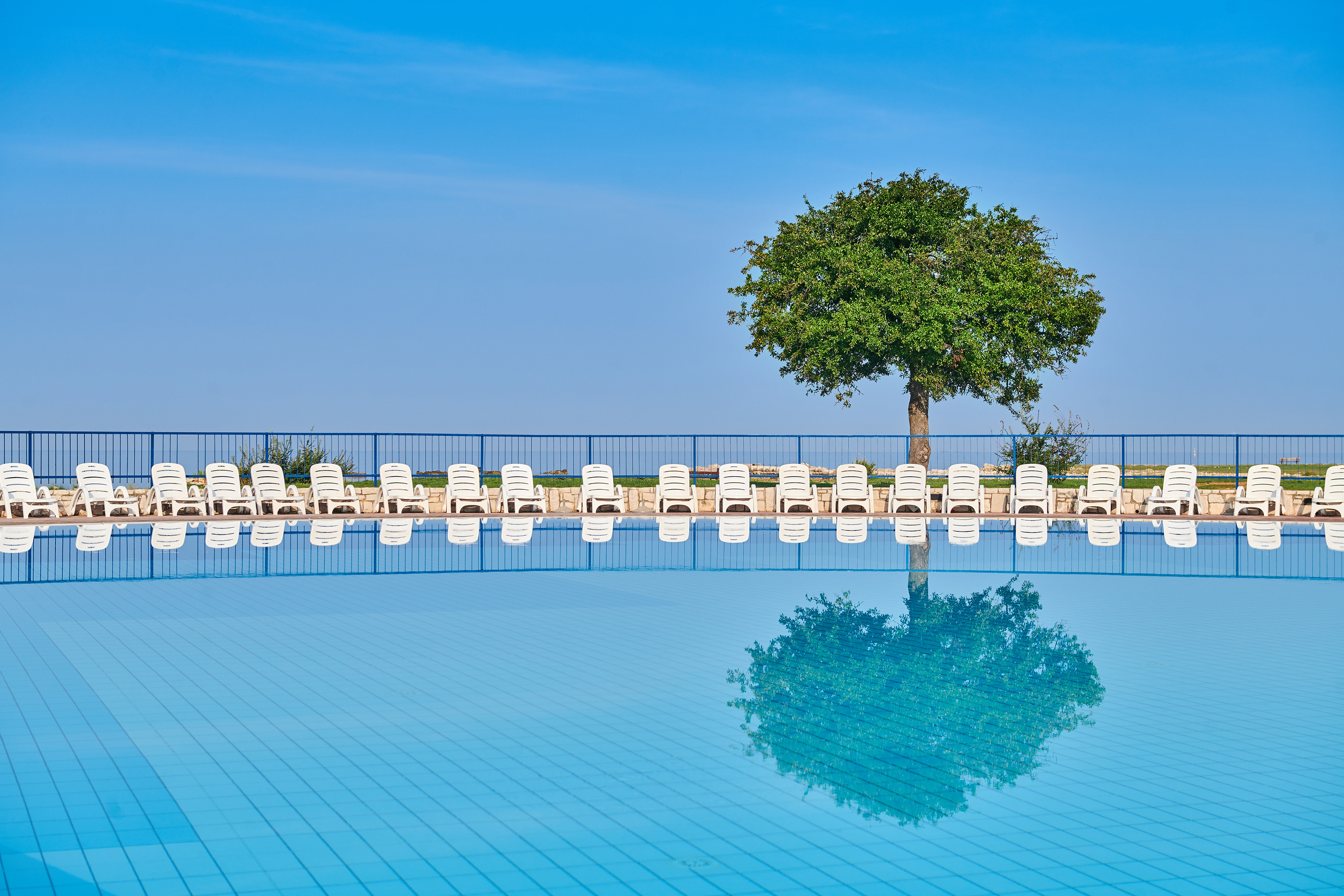 a pool with chairs and a tree
