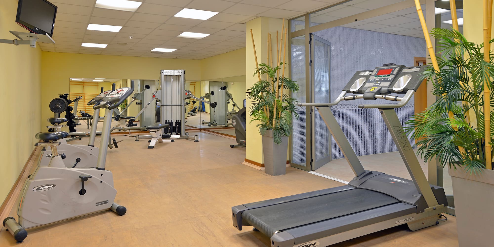 a gym with treadmills and exercise equipment