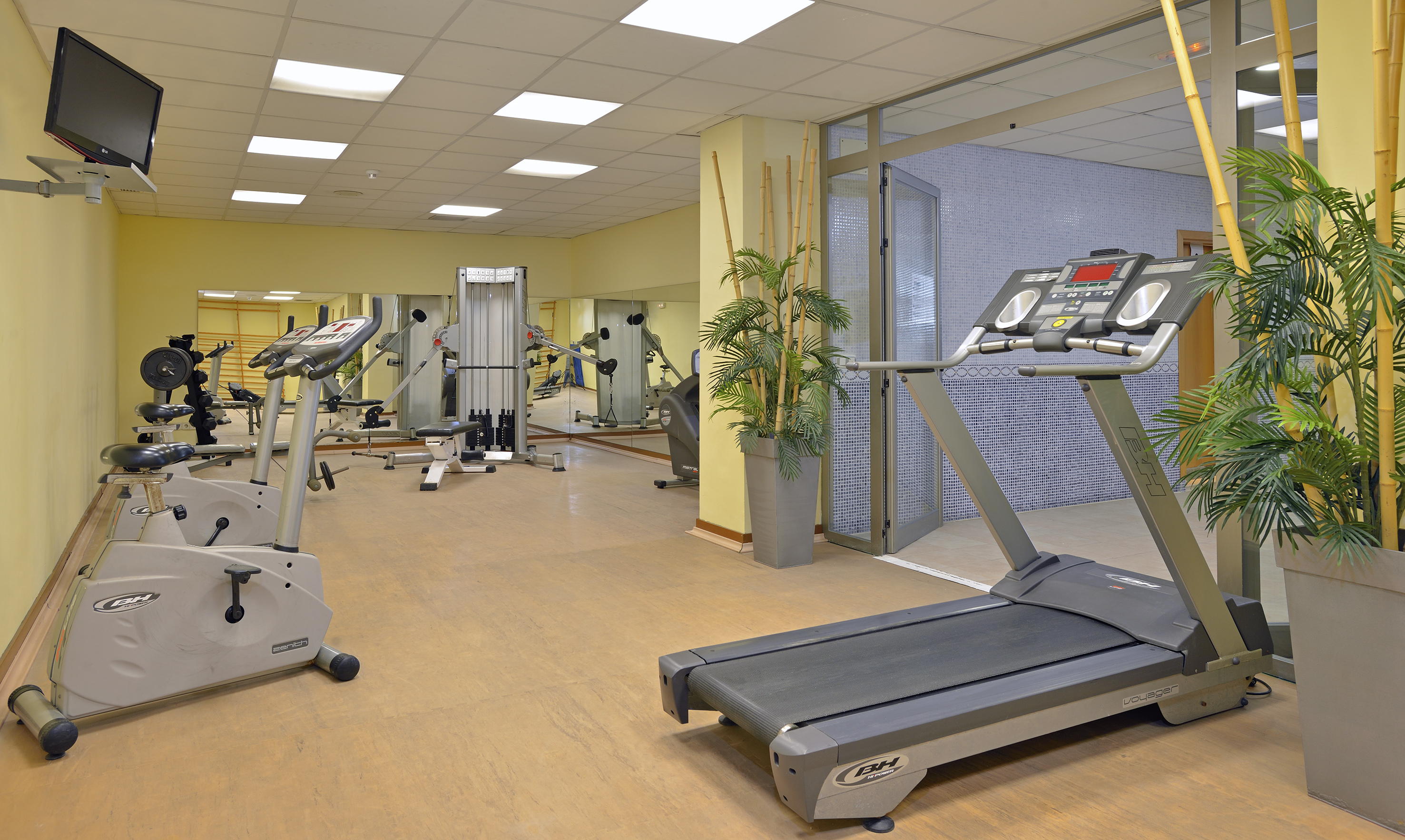 a gym with treadmills and exercise equipment