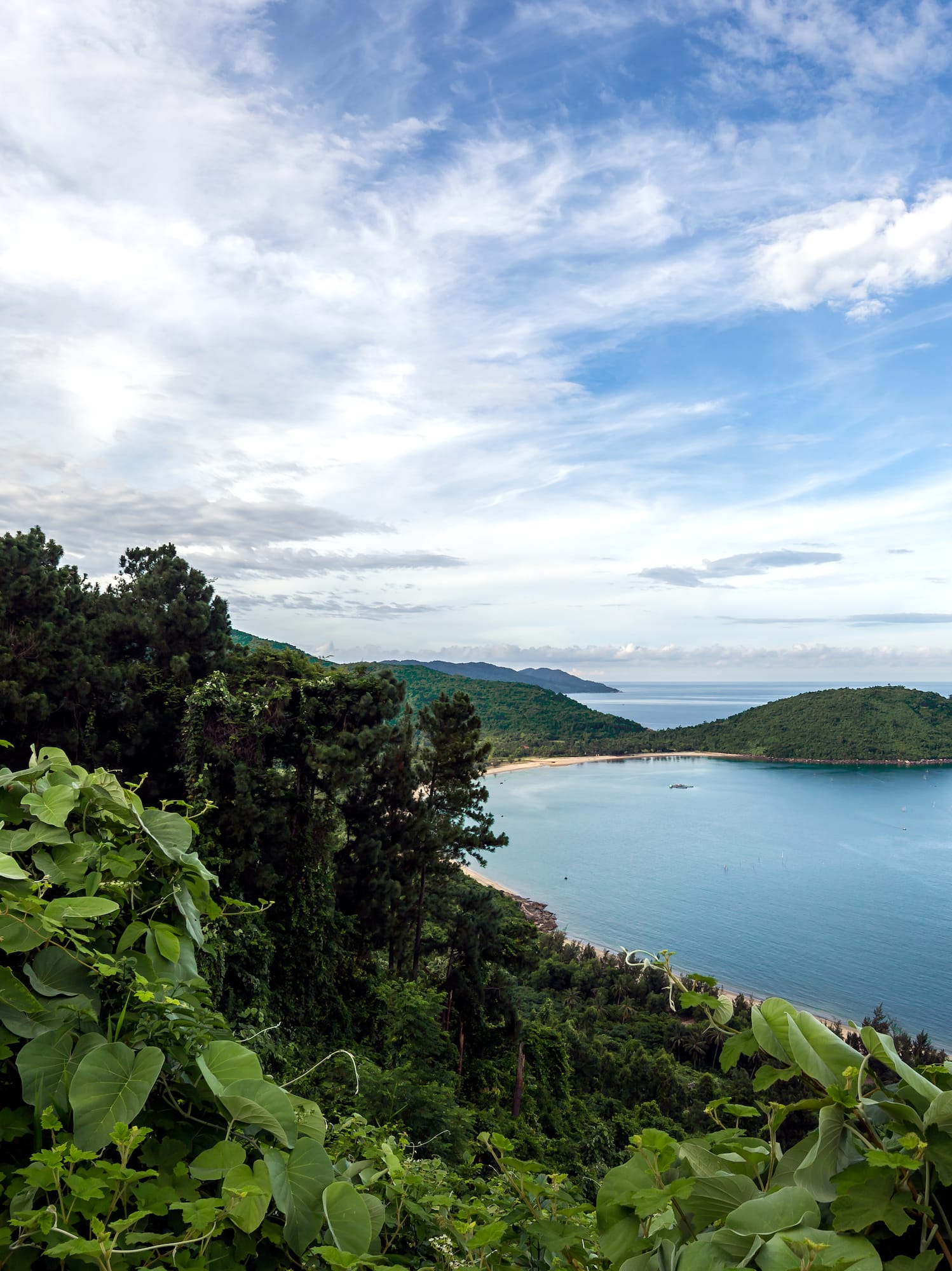 a view of a body of water and a beach with trees and a blue sky