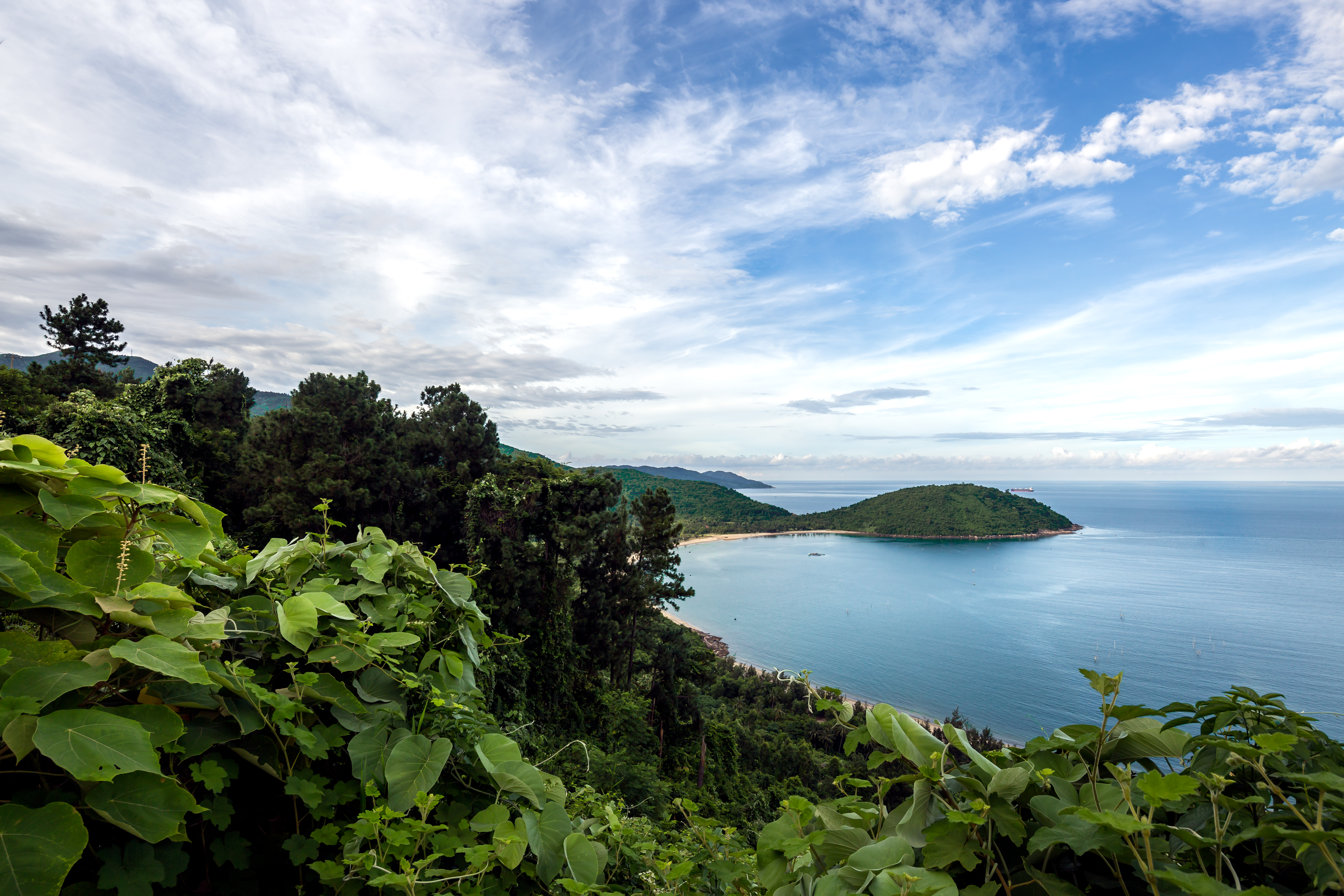 a view of a body of water and a beach with trees and a blue sky