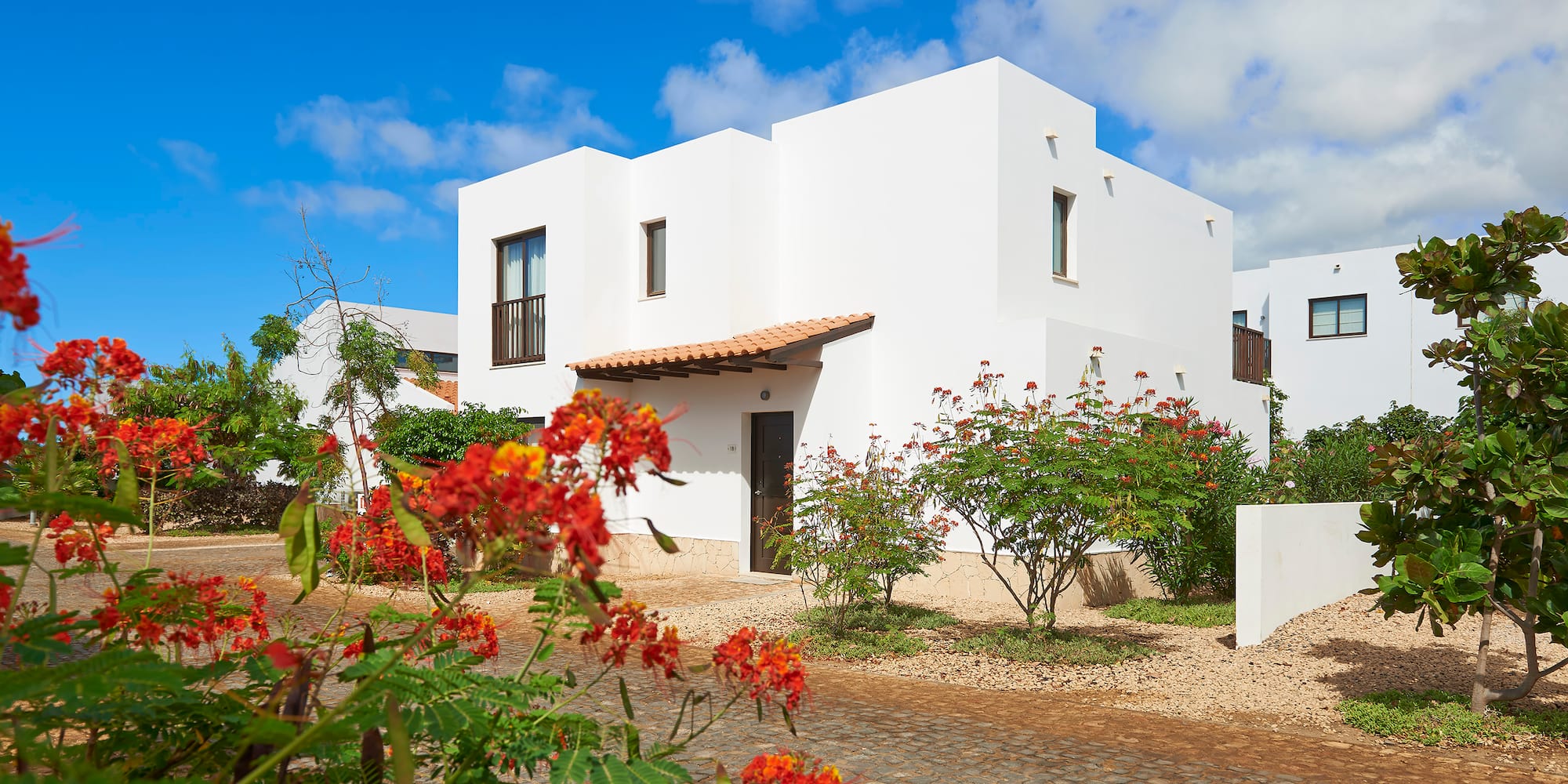 a white house with red flowers