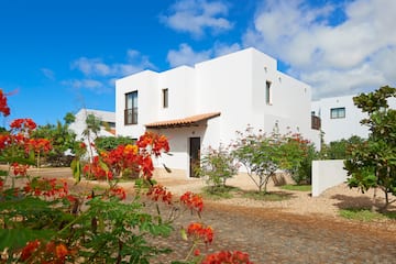 a white house with red flowers