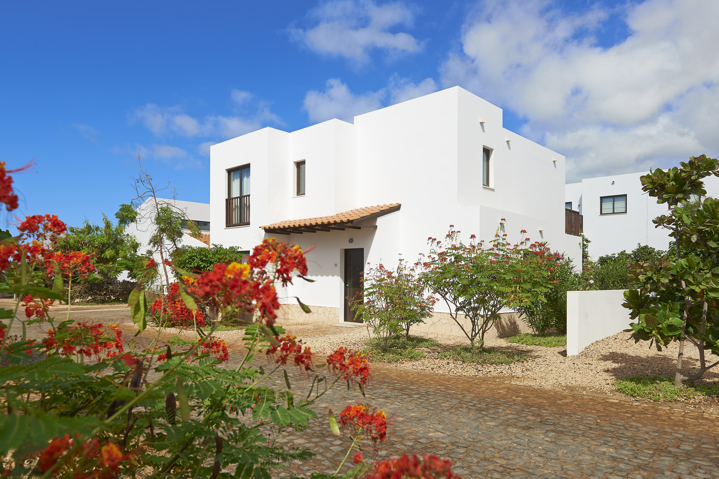 a white house with red flowers