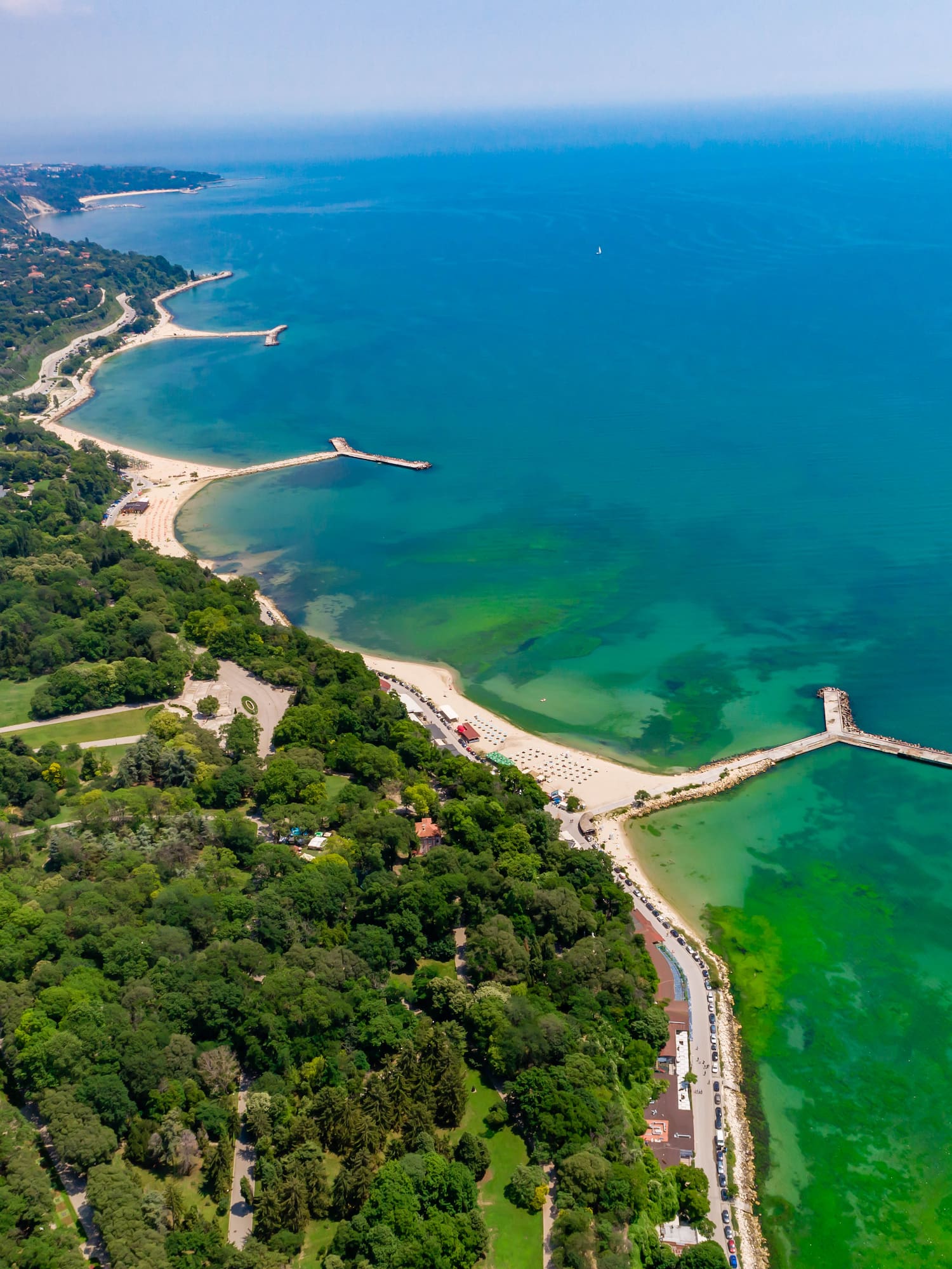 a beach with trees and a body of water
