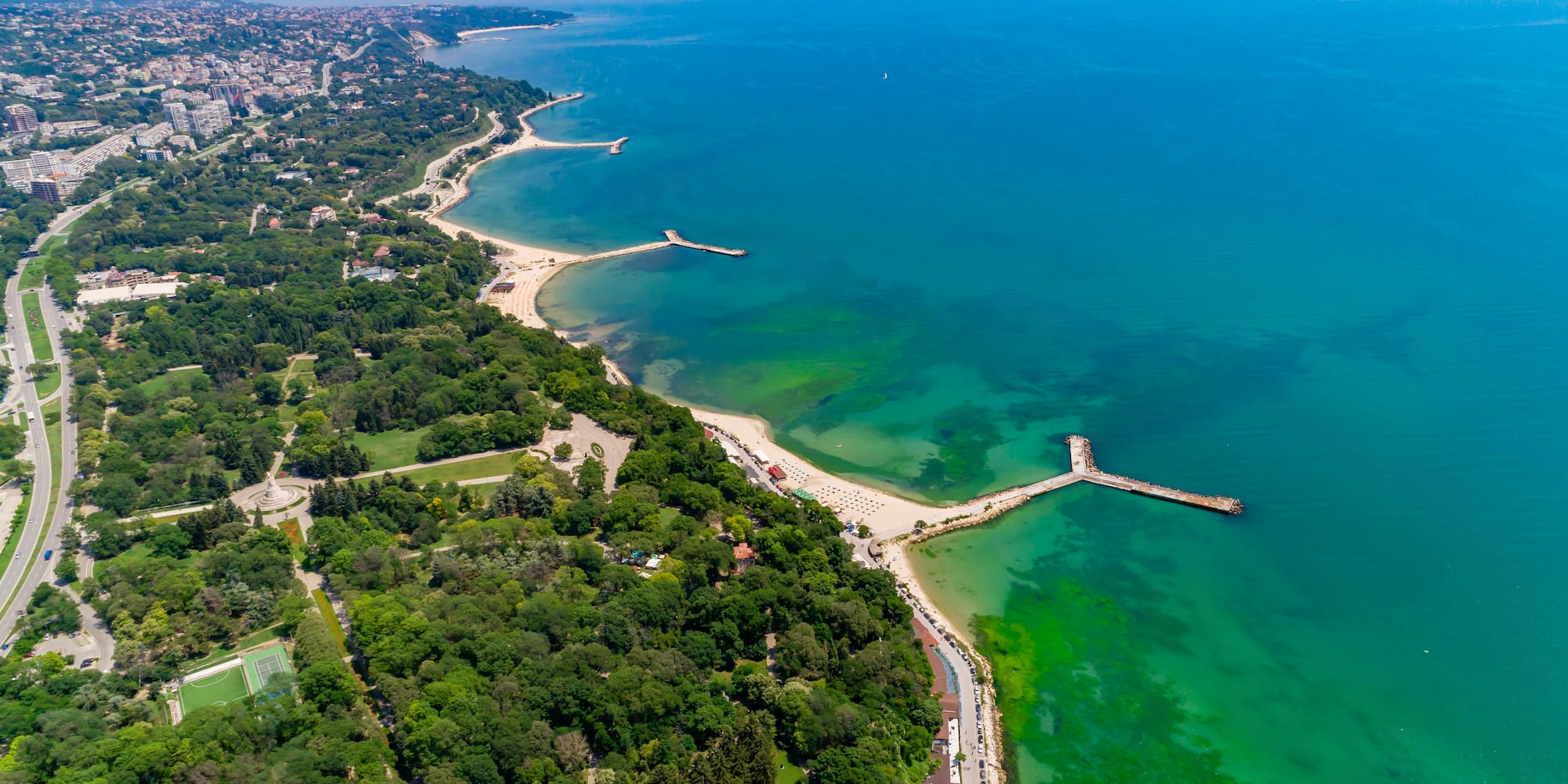a beach with trees and a body of water