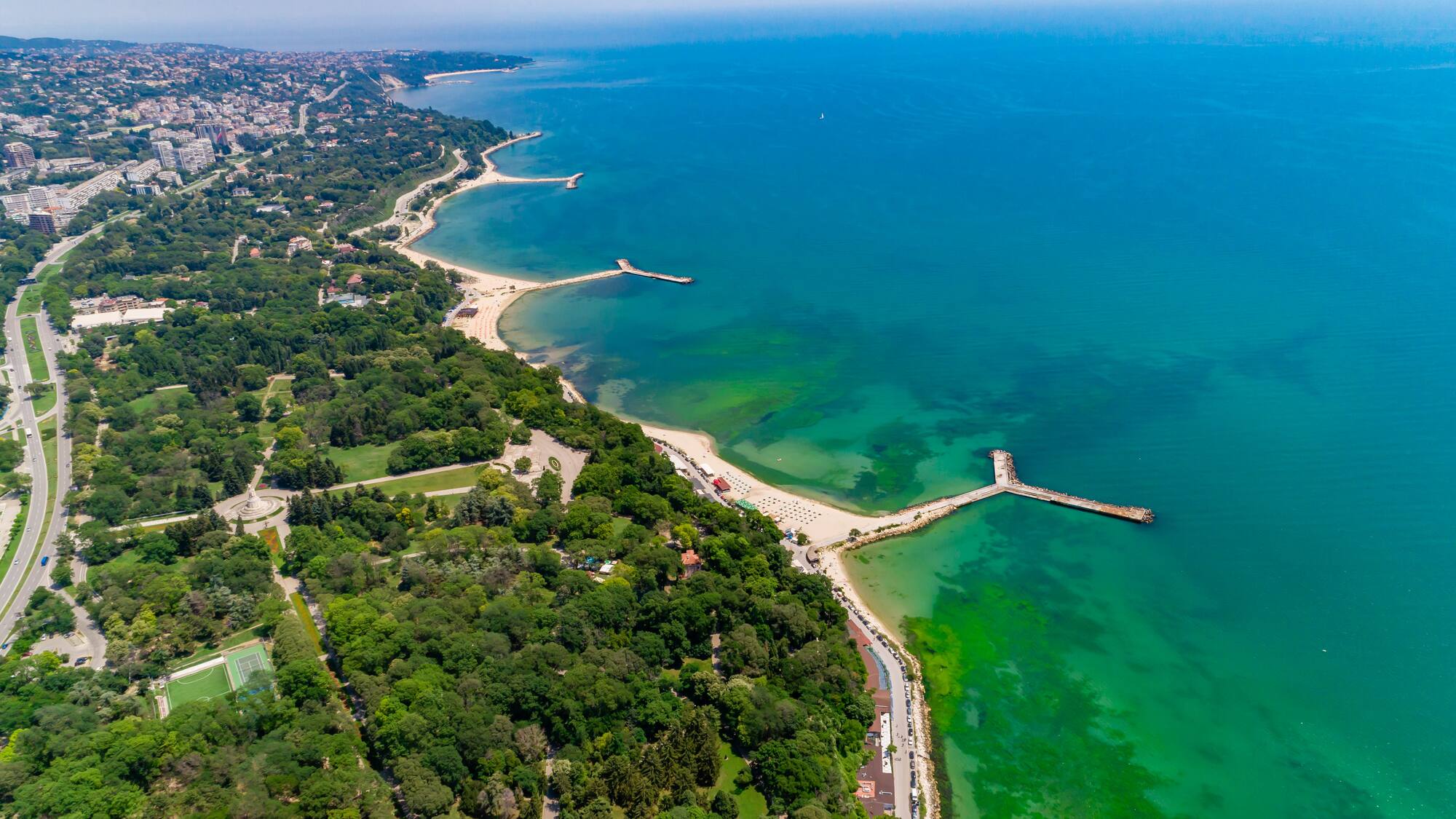 a beach with trees and a body of water