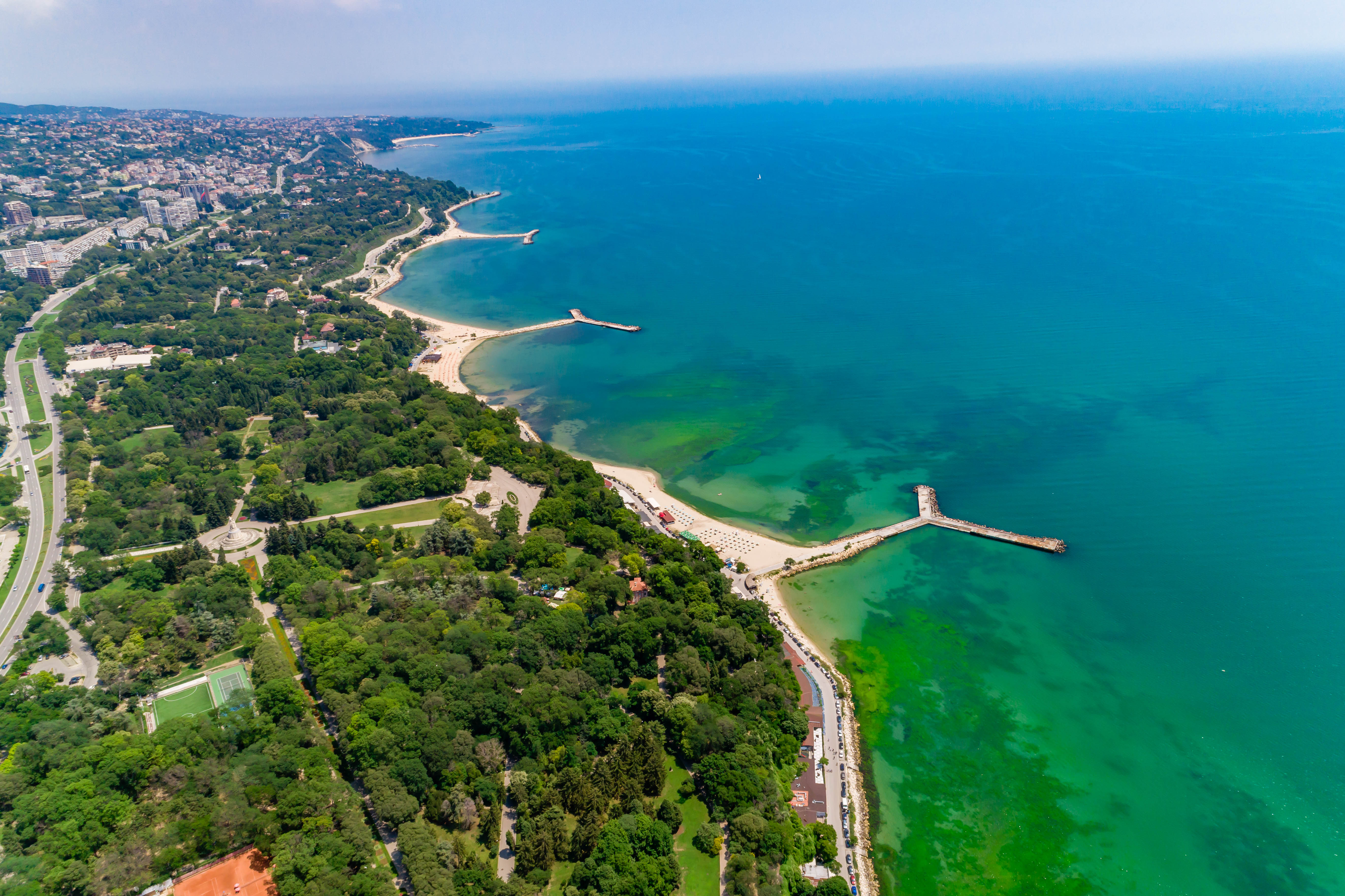 a beach with trees and a body of water