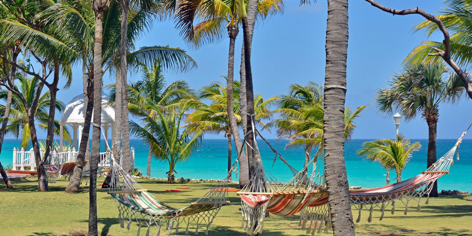 hammocks between palm trees by the ocean