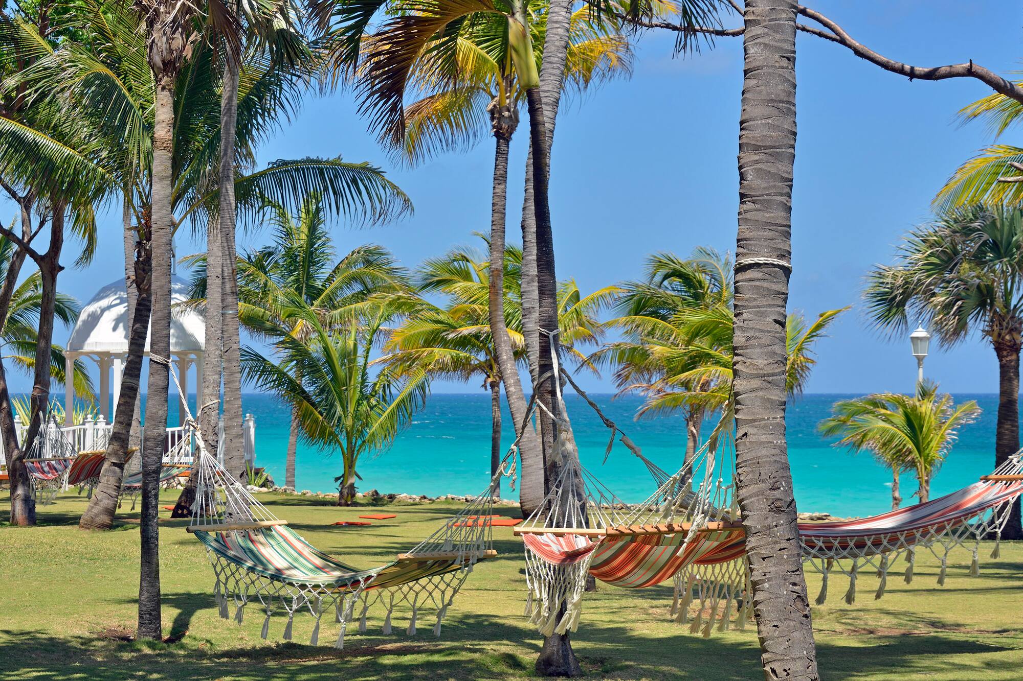 hammocks between palm trees by the ocean