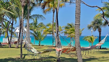 hammocks between palm trees by the ocean