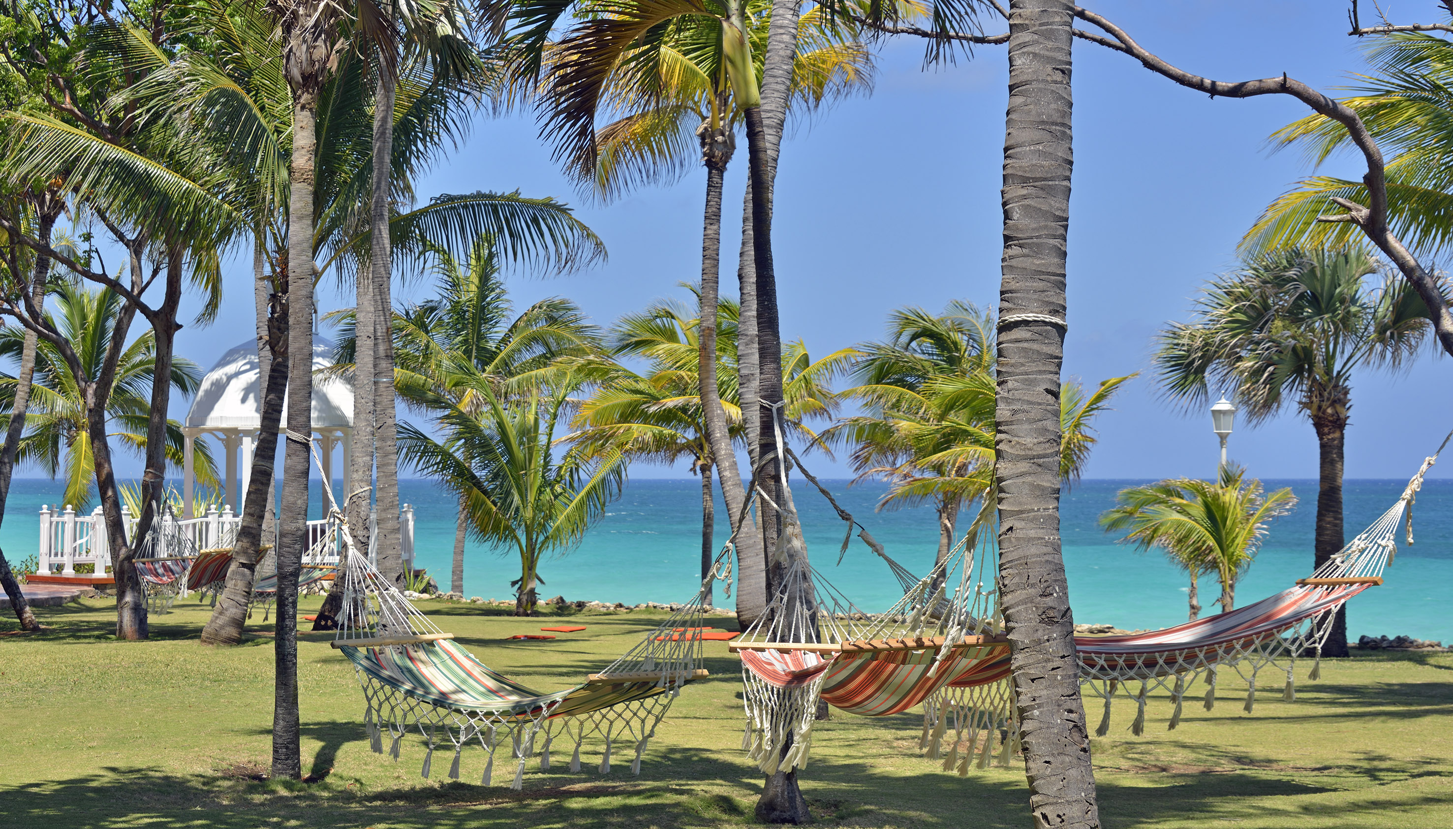 hammocks between palm trees by the ocean