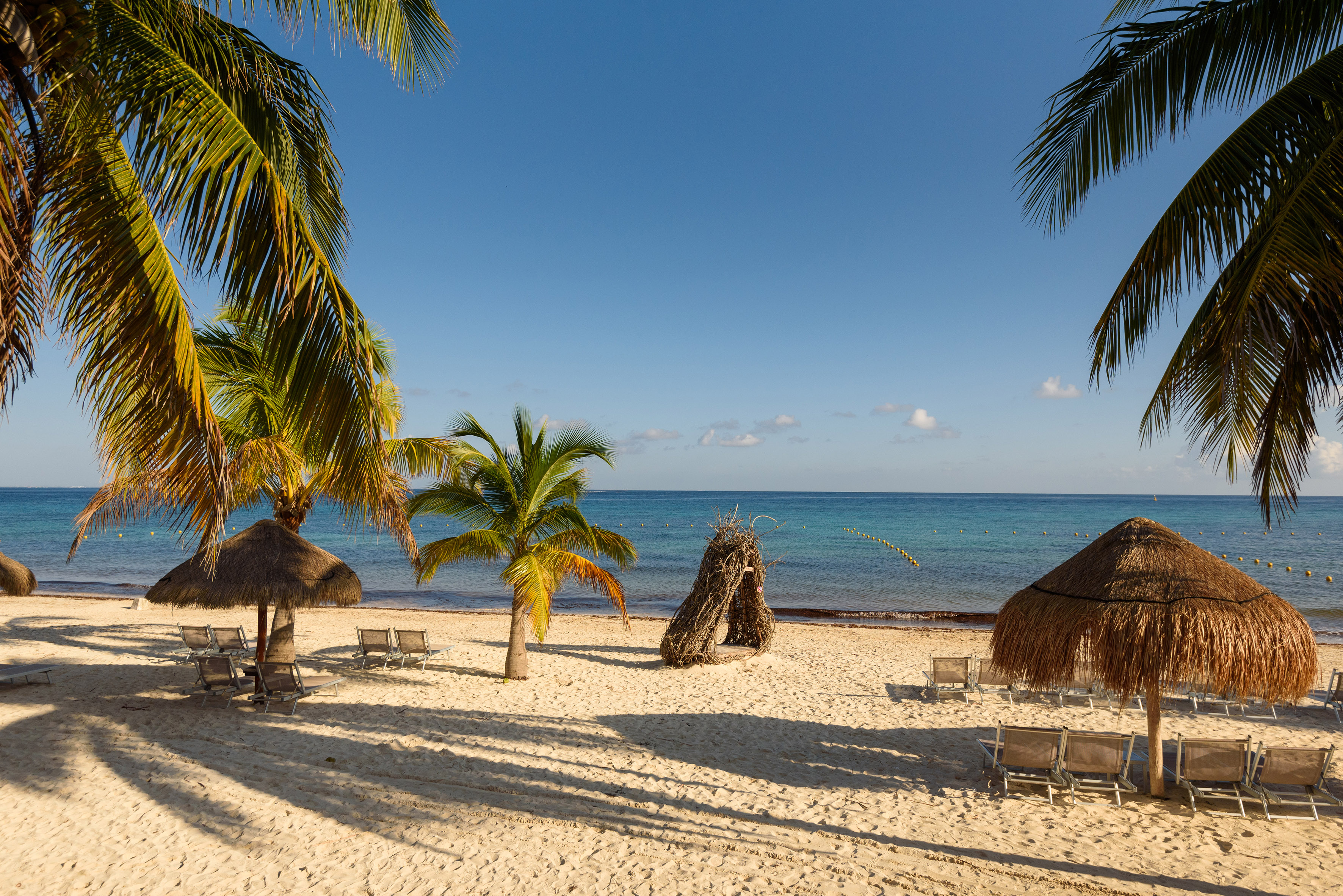 a beach with palm trees and chairs