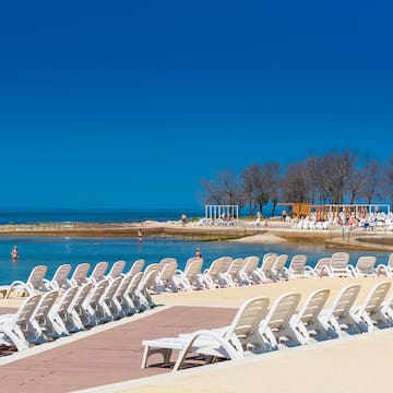 a group of white chairs on a beach