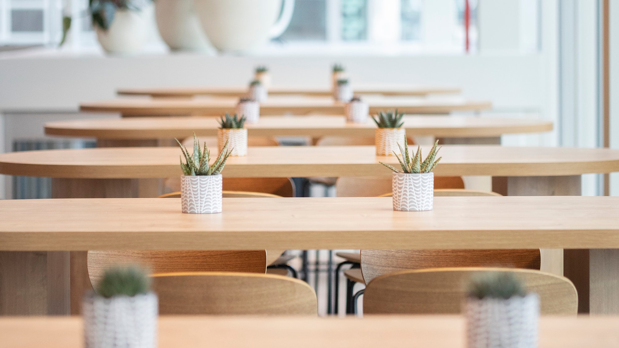a row of tables with plants in pots