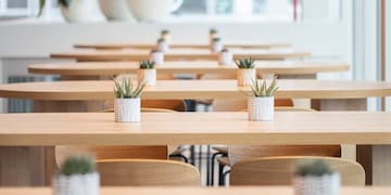 a row of tables with plants in pots