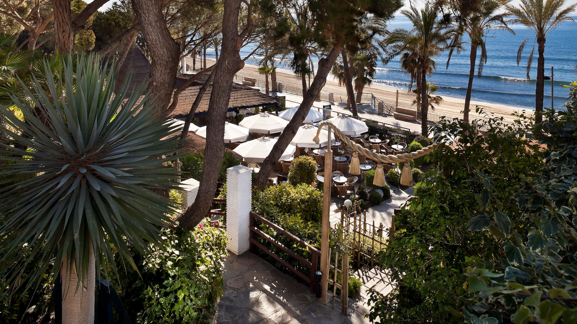 a beach with trees and chairs and umbrellas