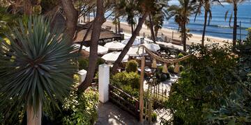 a beach with trees and chairs and umbrellas