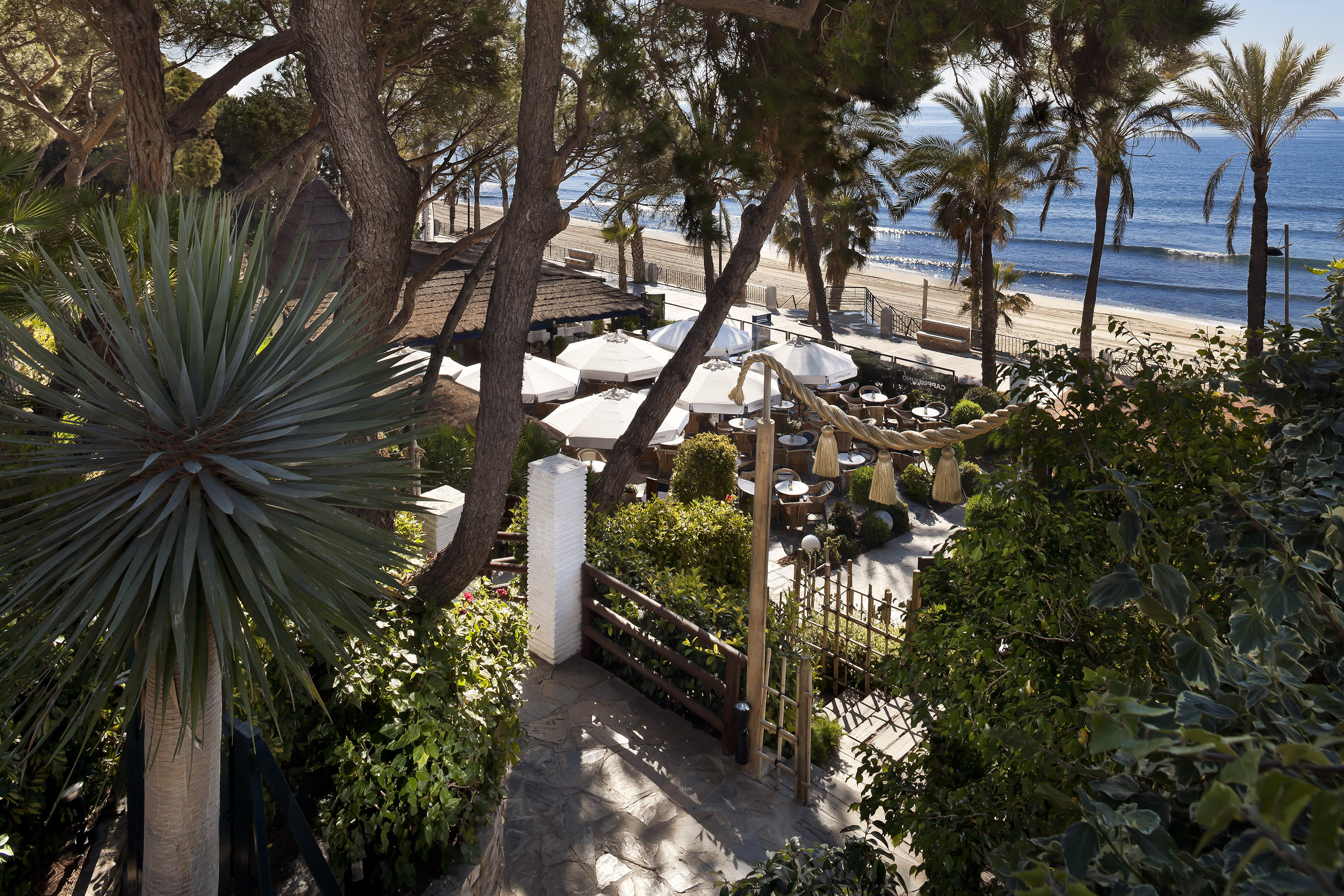 Beachside cafe patio with white umbrellas, palm trees, and ocean view.