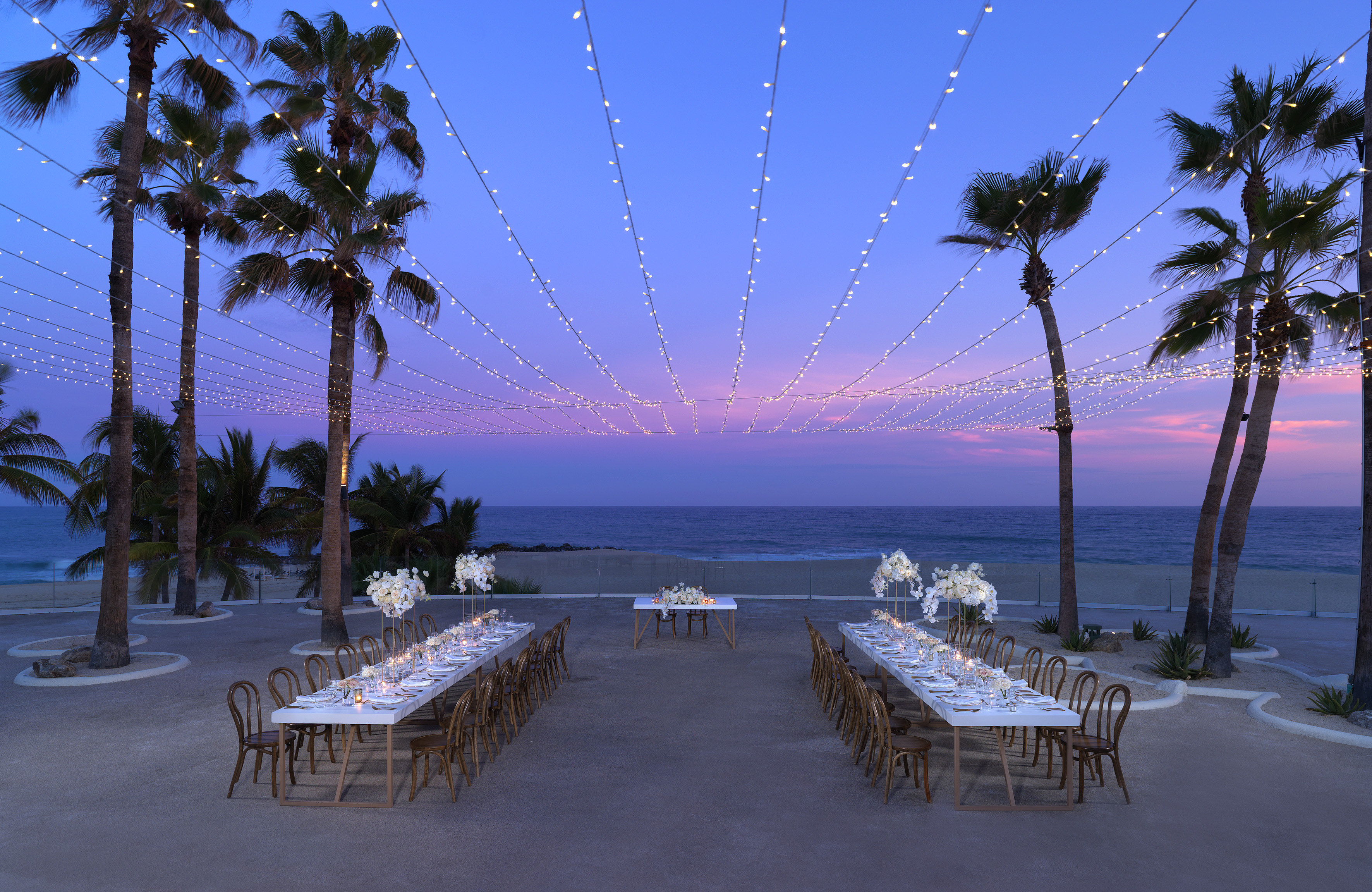 Elegant beachfront dinner setup with string lights, palm trees, and sunset ocean view.