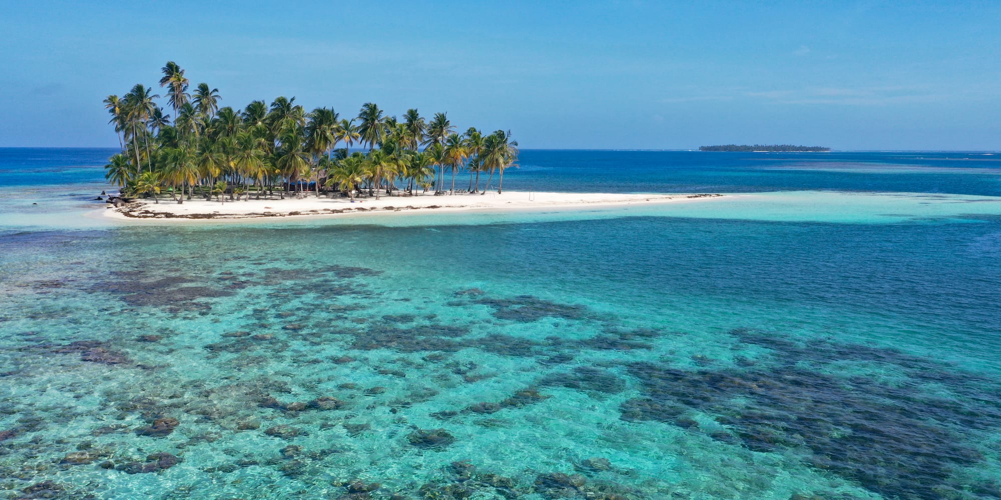 a beach with palm trees and blue water