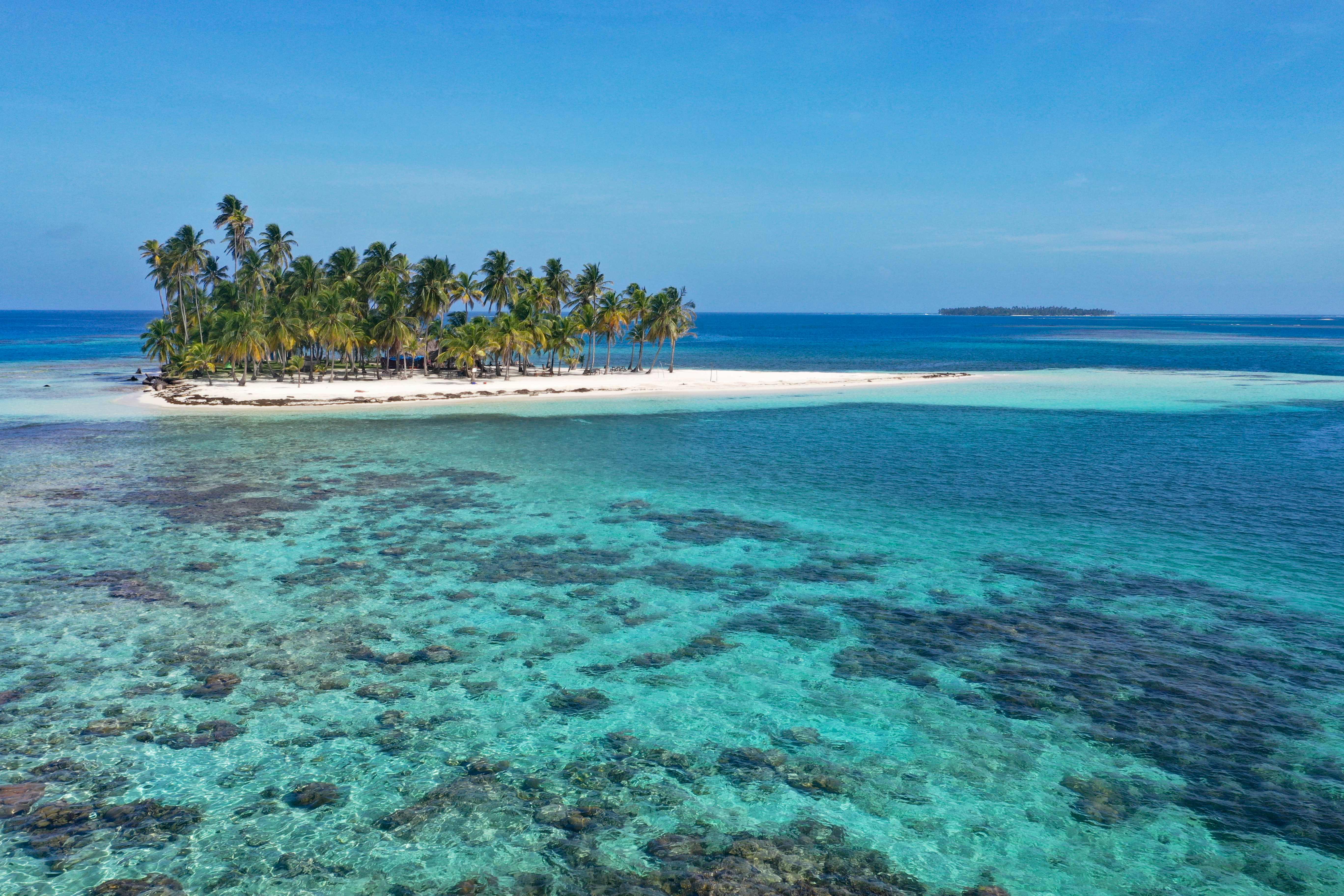 a beach with palm trees and blue water