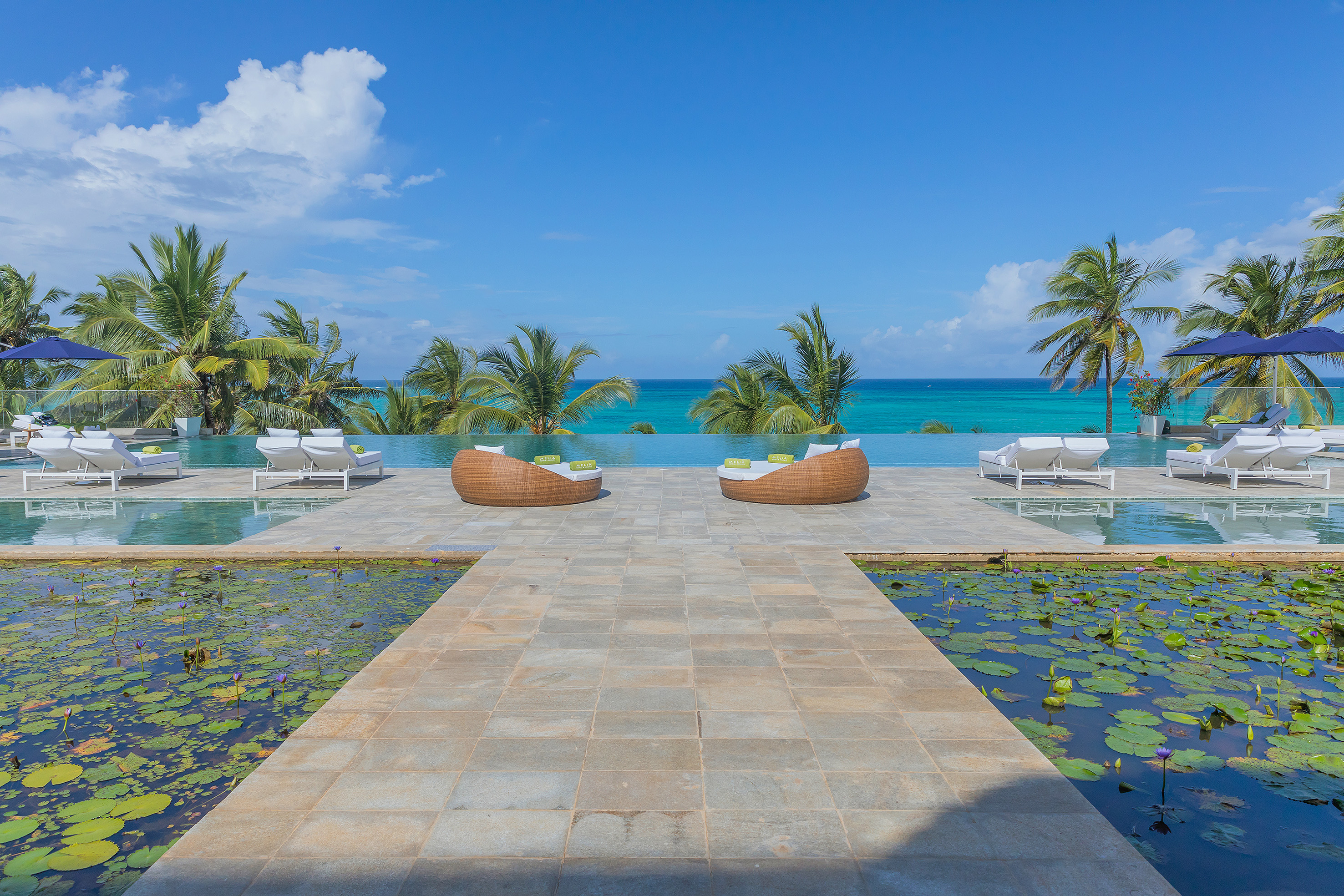 Tropical infinity pool with ocean view, palm trees, daybeds, and lily pond.