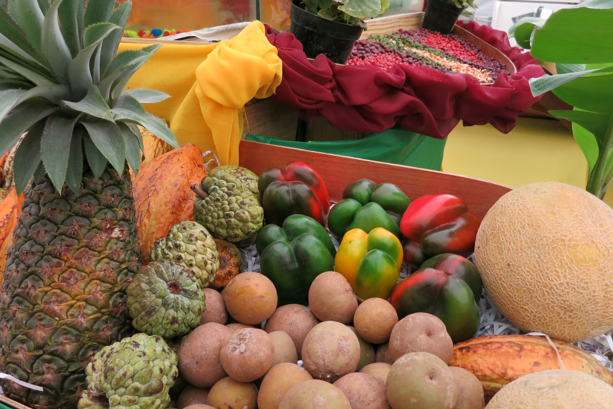 a group of fruits and vegetables