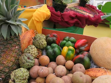 a group of fruits and vegetables