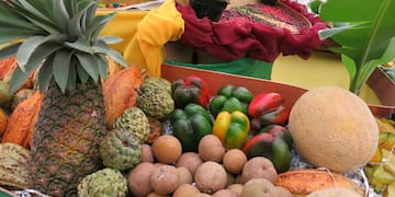 a group of fruits and vegetables