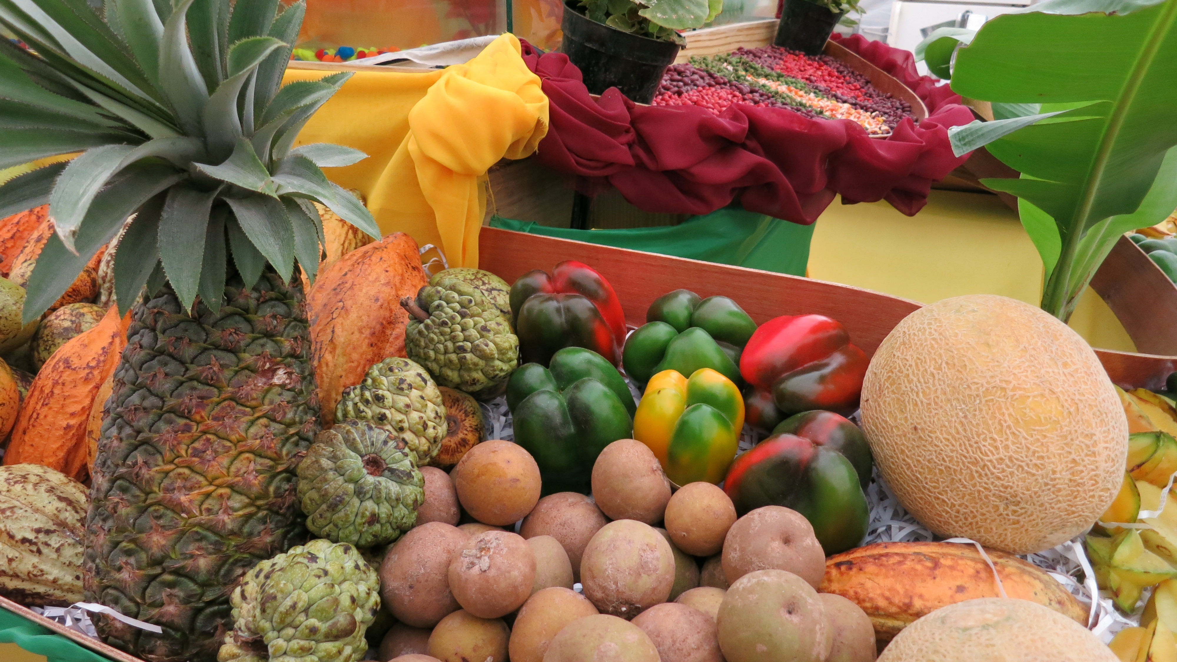 a group of fruits and vegetables