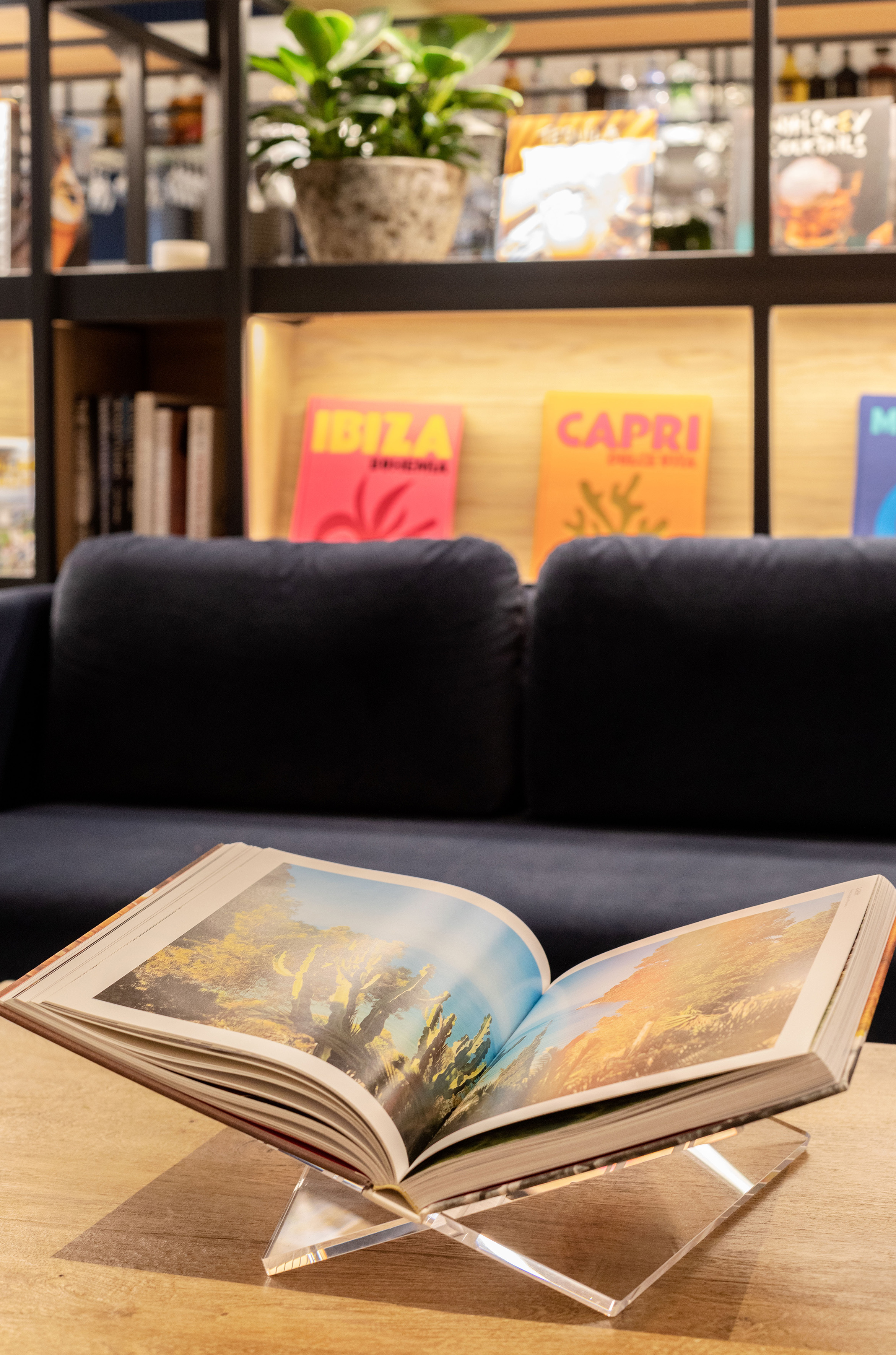 Open coffee table book on acrylic stand showing desert scenery, modern interior.
