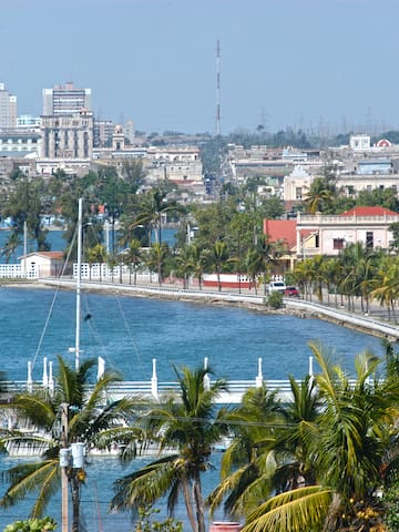 a body of water with palm trees and buildings in the background