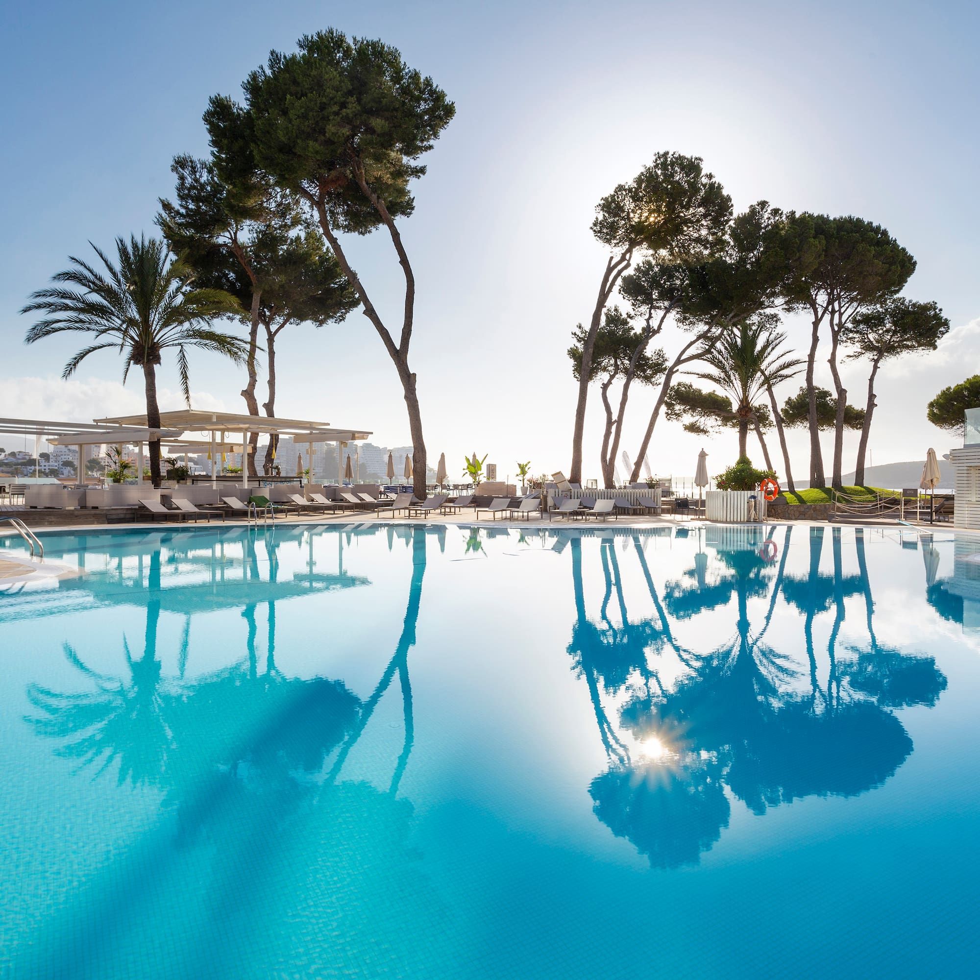 a pool with trees and sun reflection