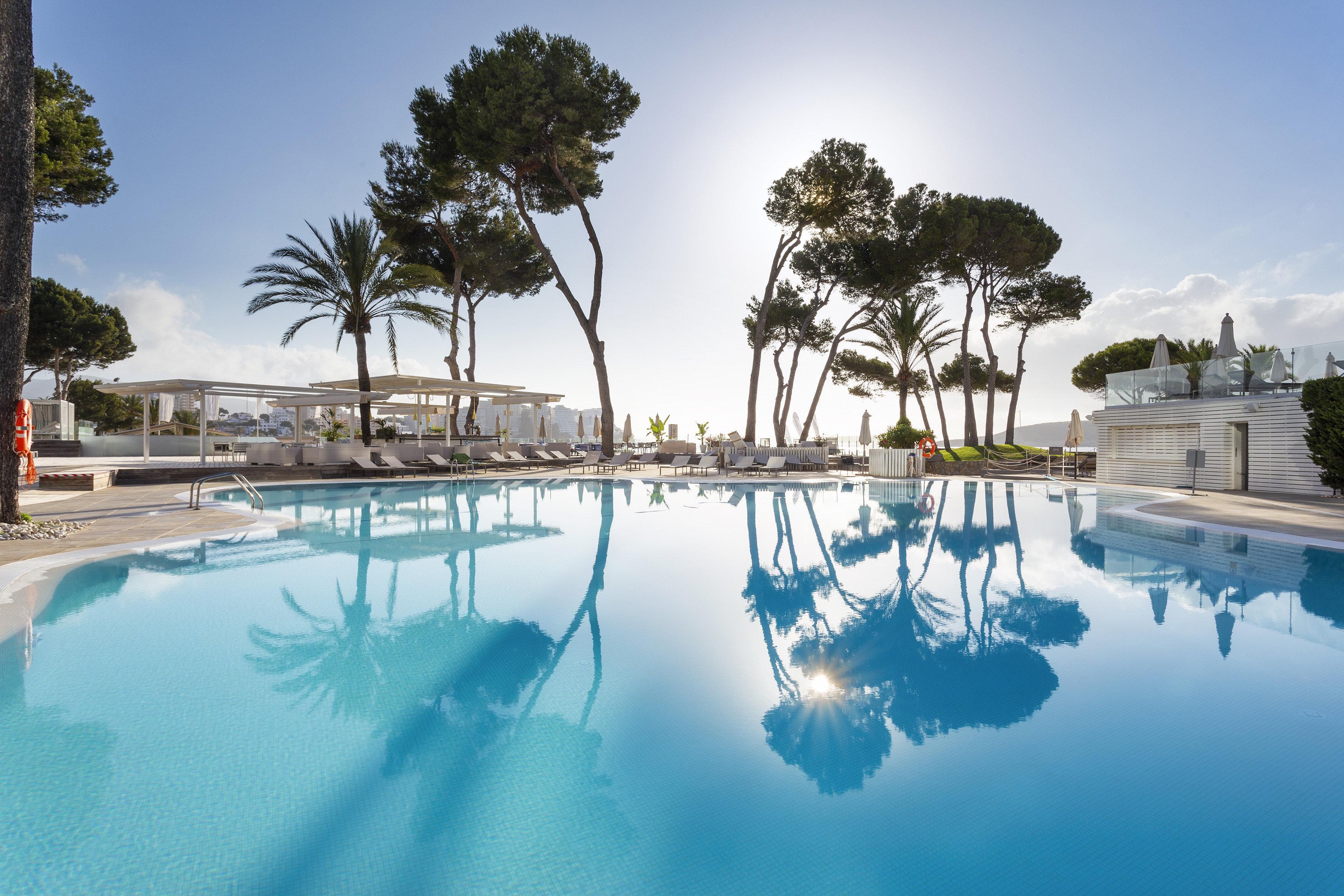 Sunny hotel pool with palm trees, reflected sun, and resort loungers.