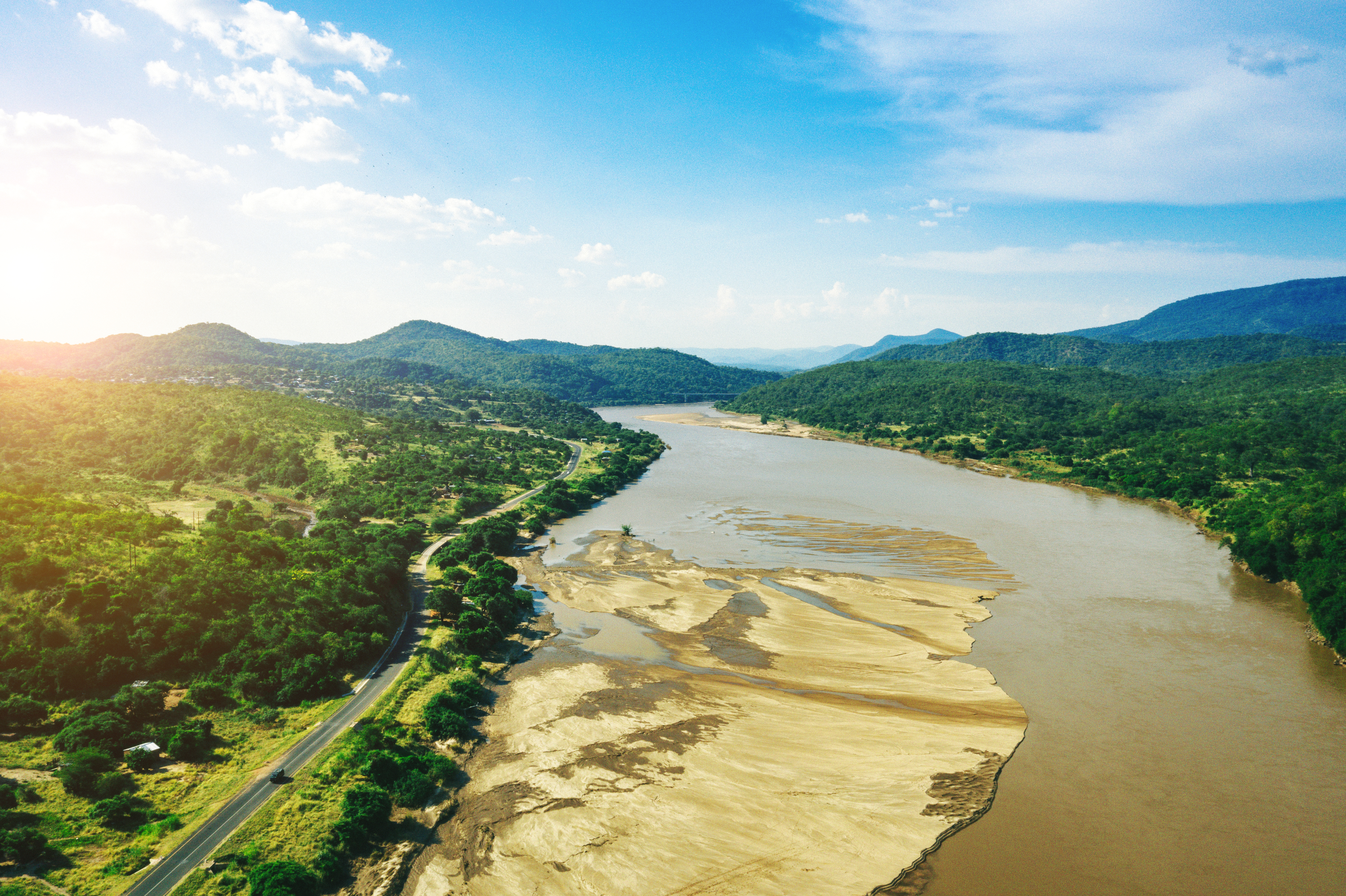a river flowing through a forest