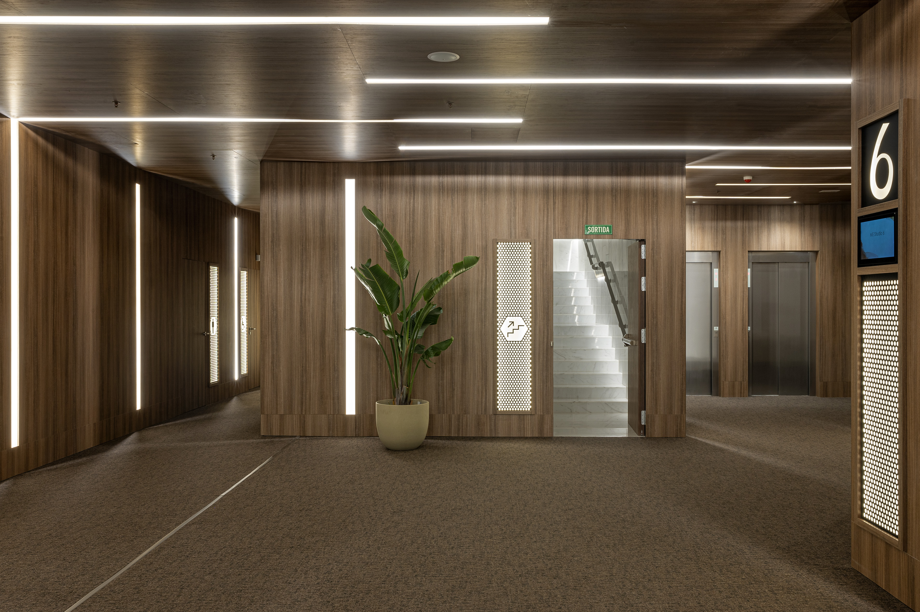 Modern wood hallway with linear lights, green plant, and elevators.