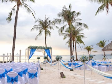 a beach wedding set up with palm trees and chairs