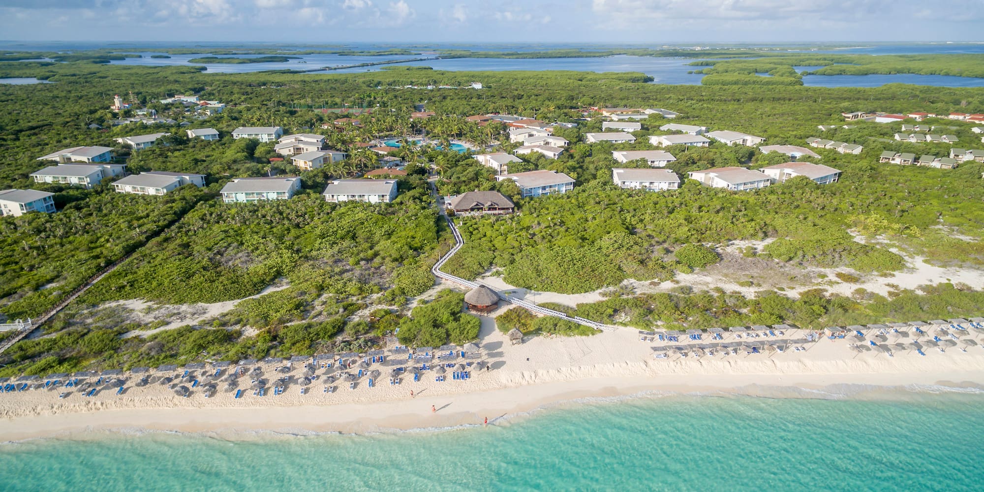 a beach with many houses and trees