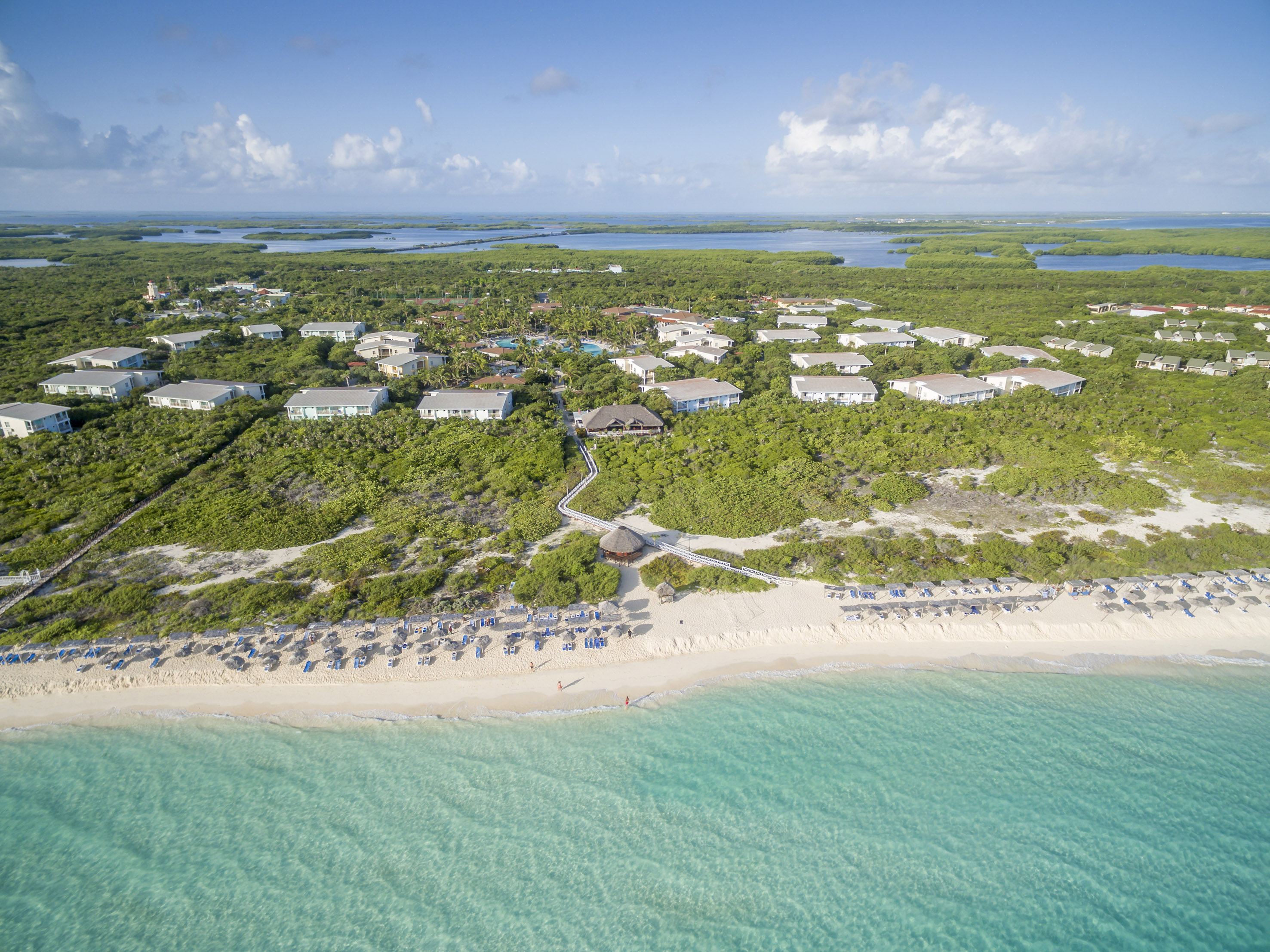 a beach with many houses and trees