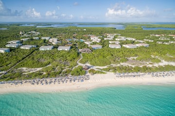 a beach with many houses and trees
