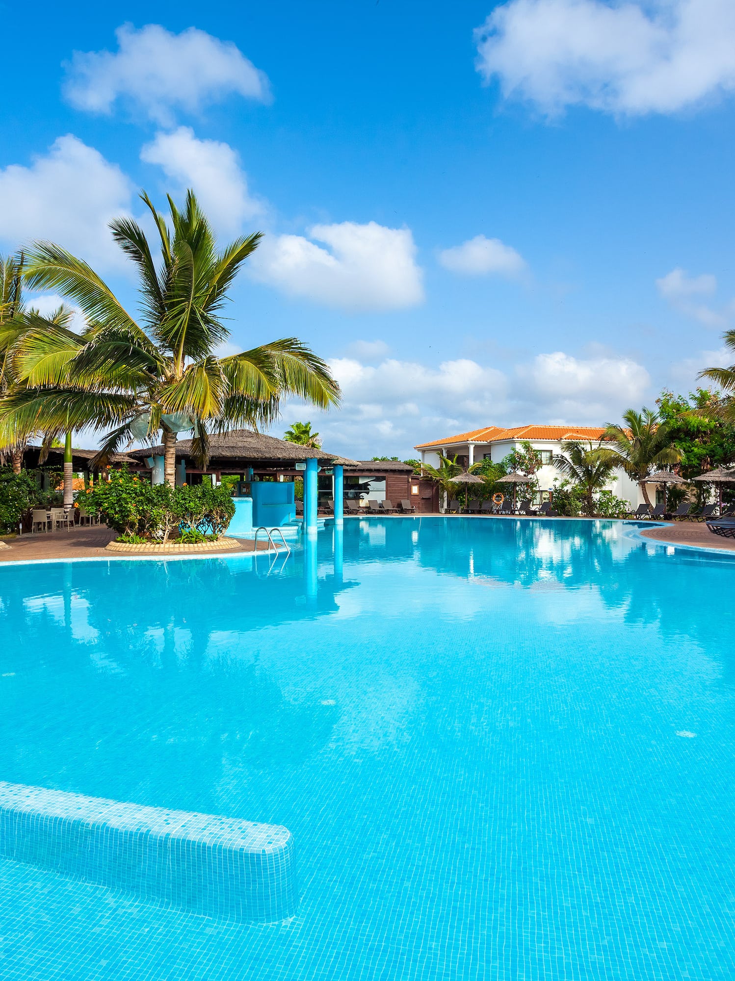a pool with palm trees and blue sky