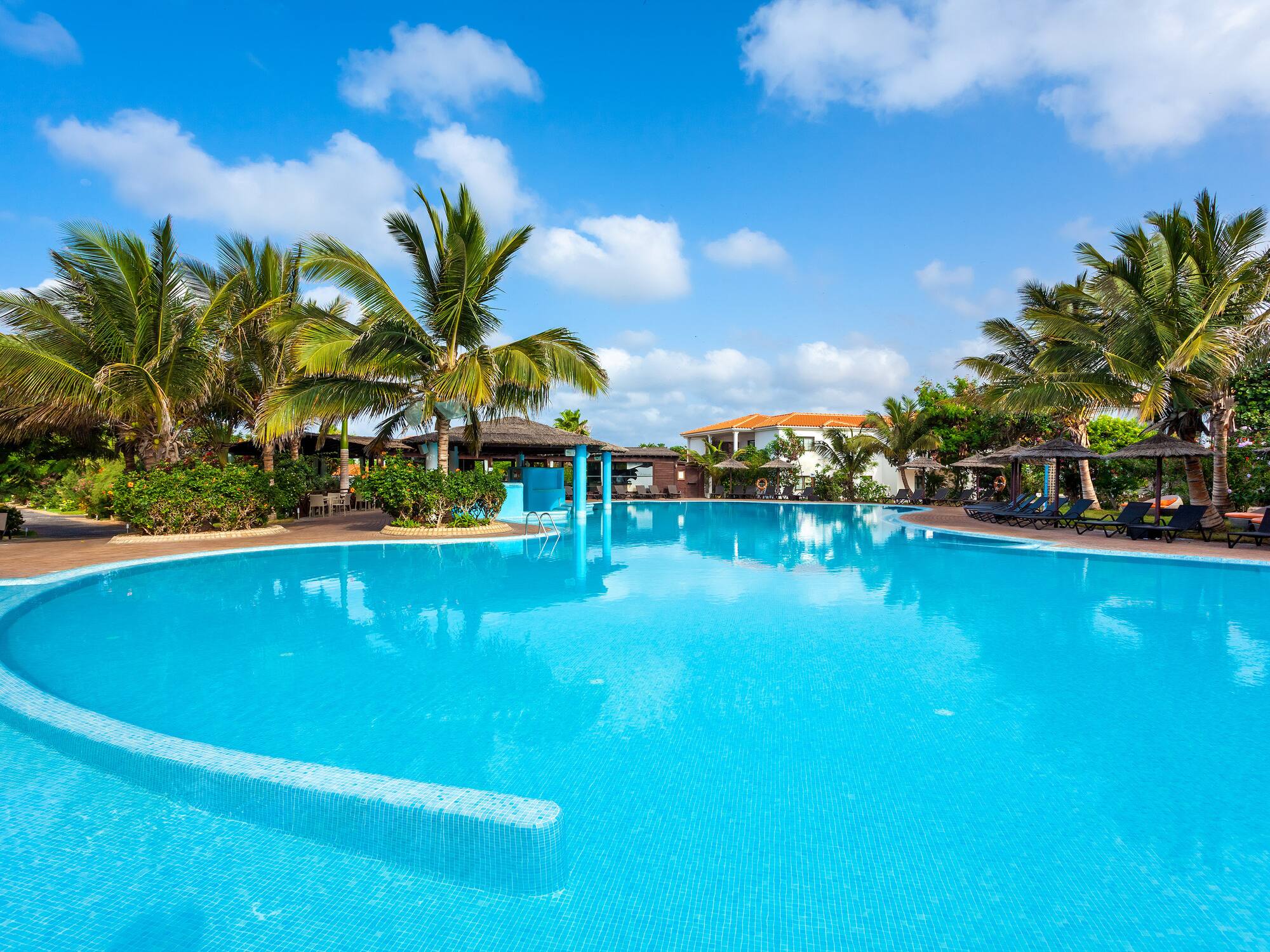 a pool with palm trees and blue sky
