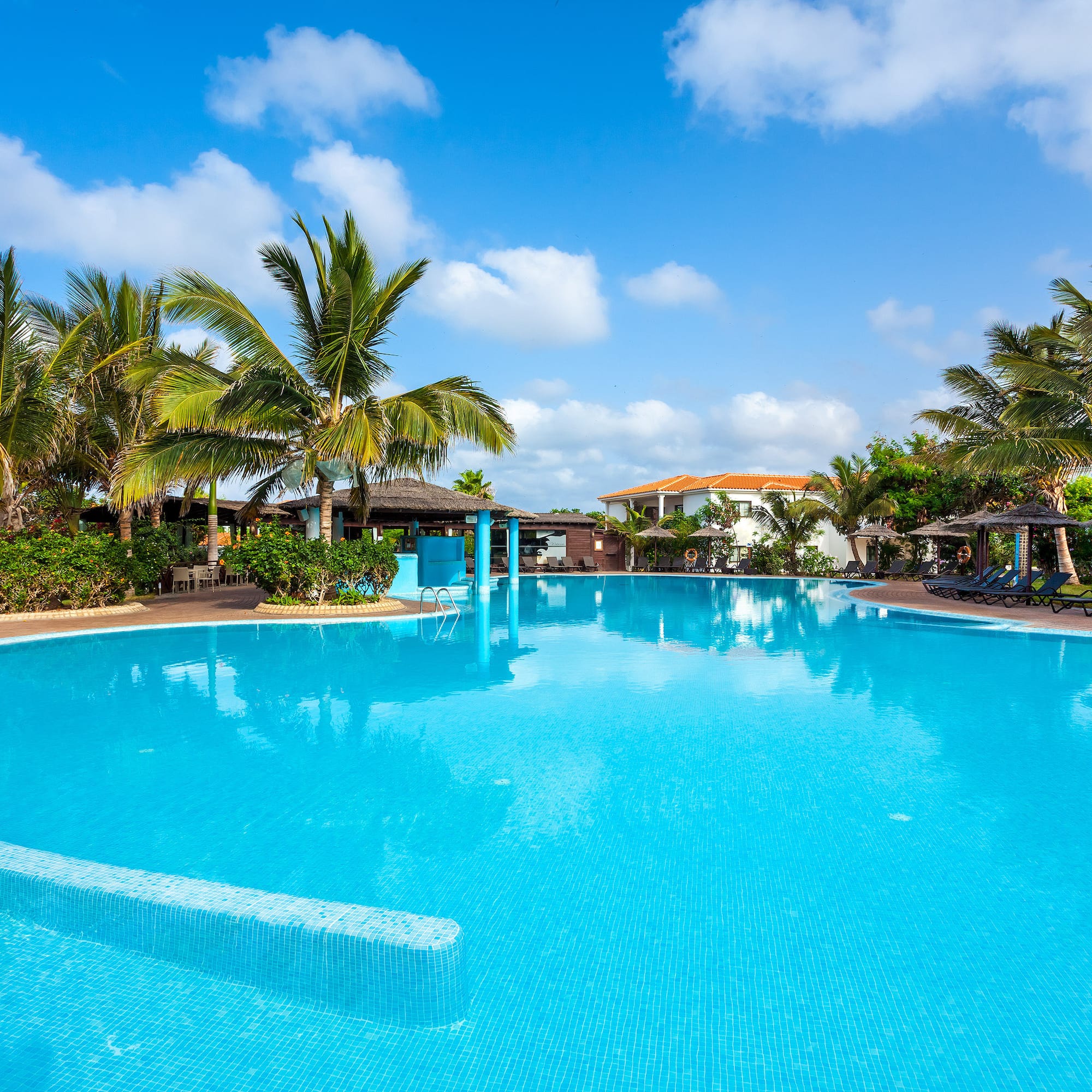 a pool with palm trees and blue sky